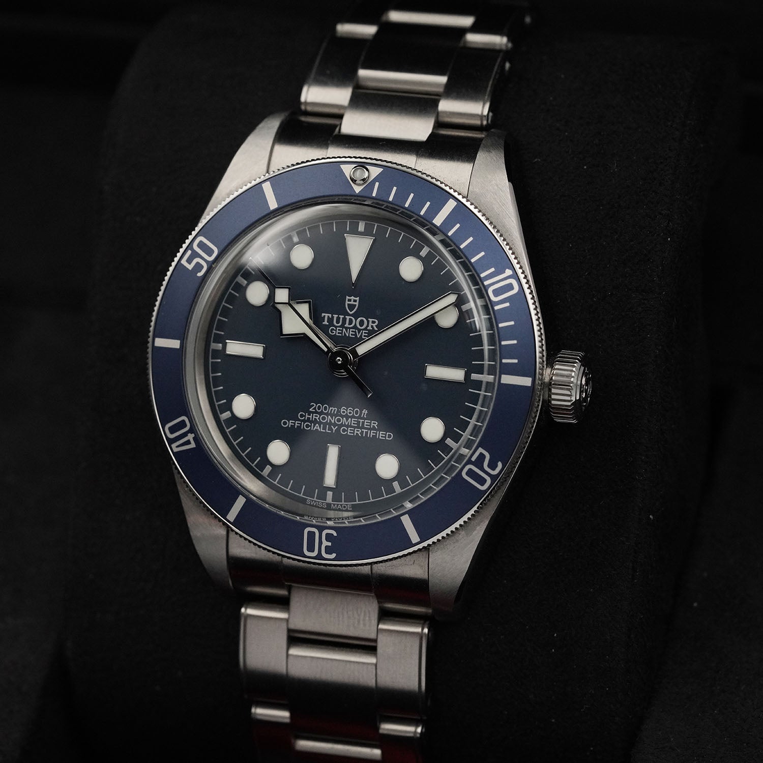 Blackbay - Tudor