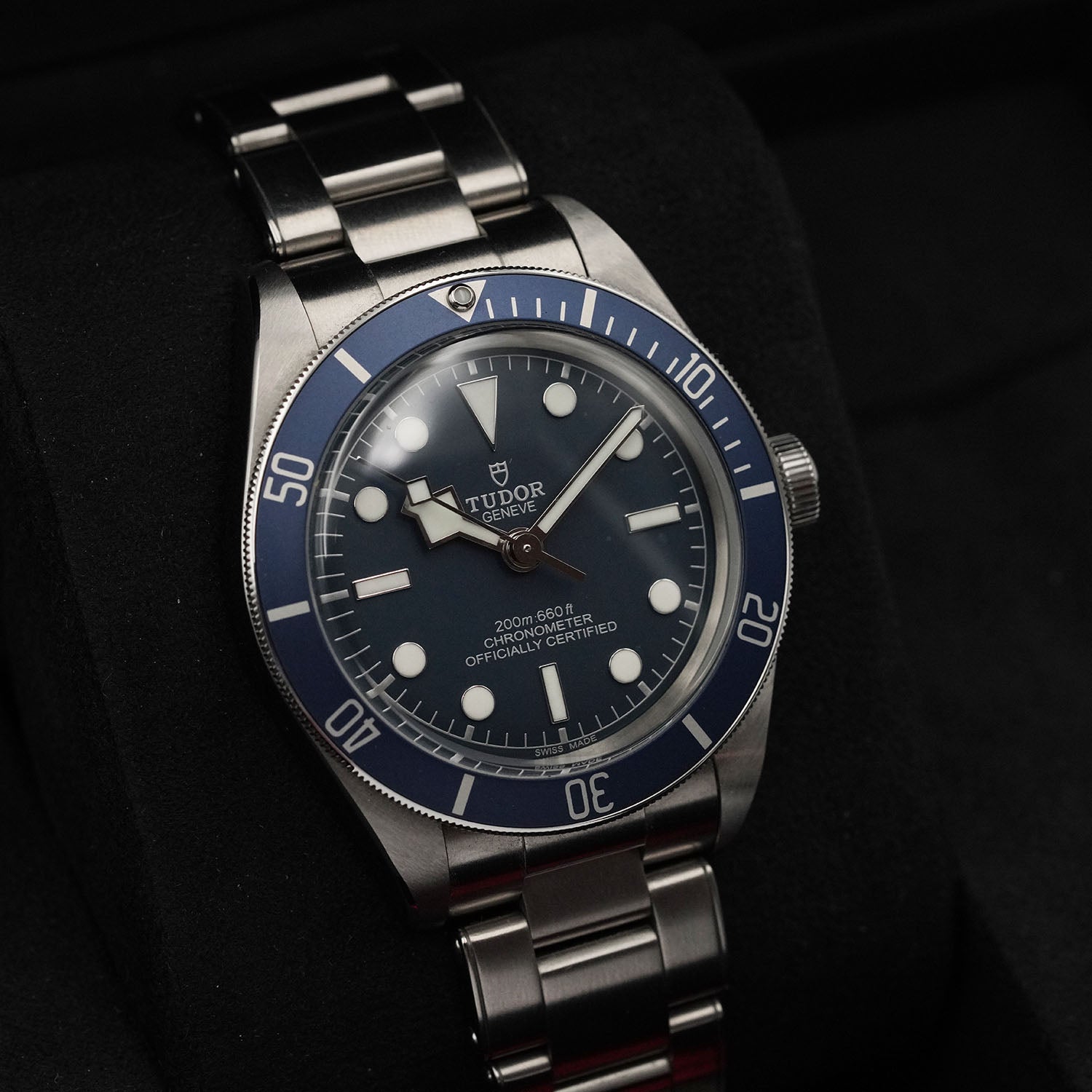 Blackbay - Tudor
