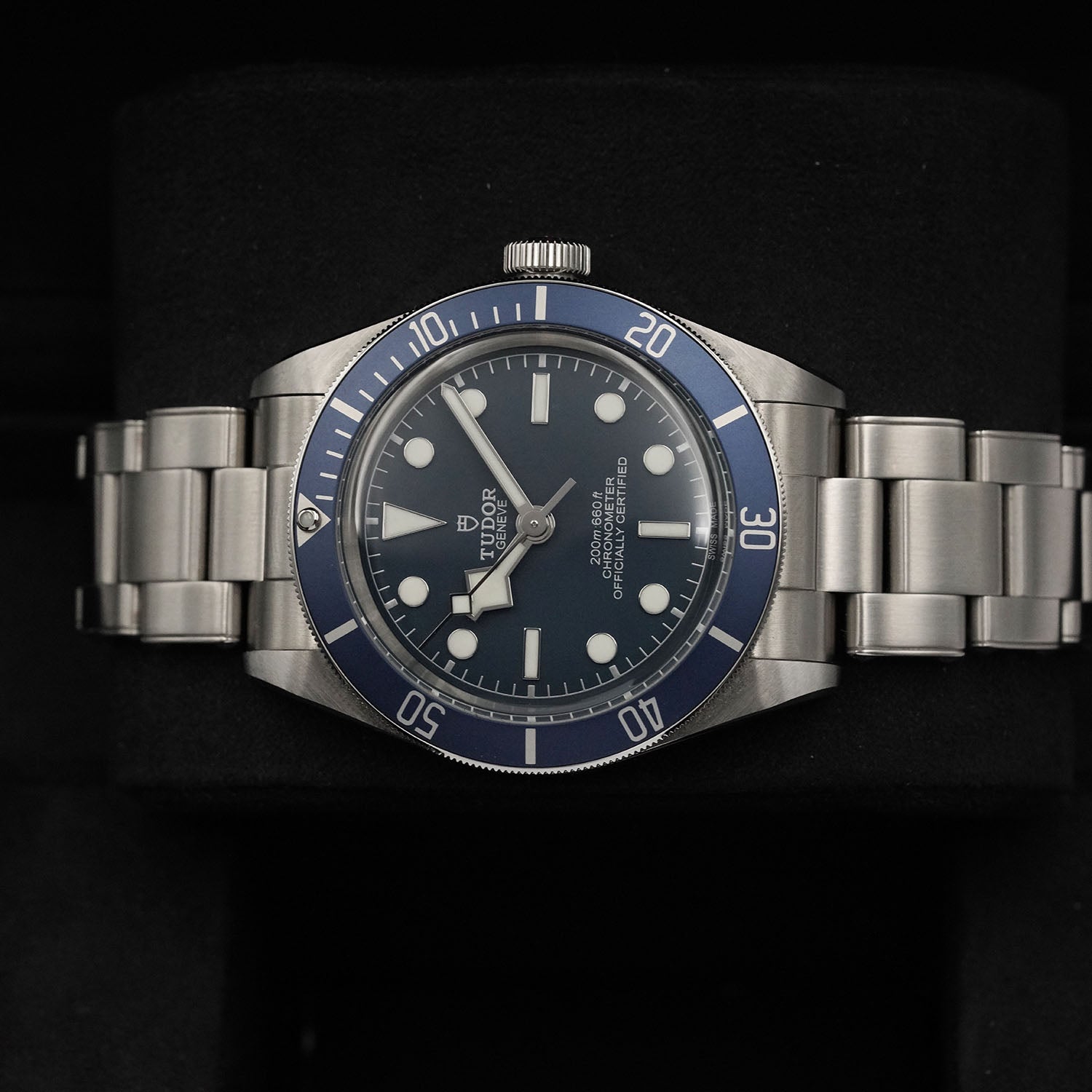 Blackbay - Tudor