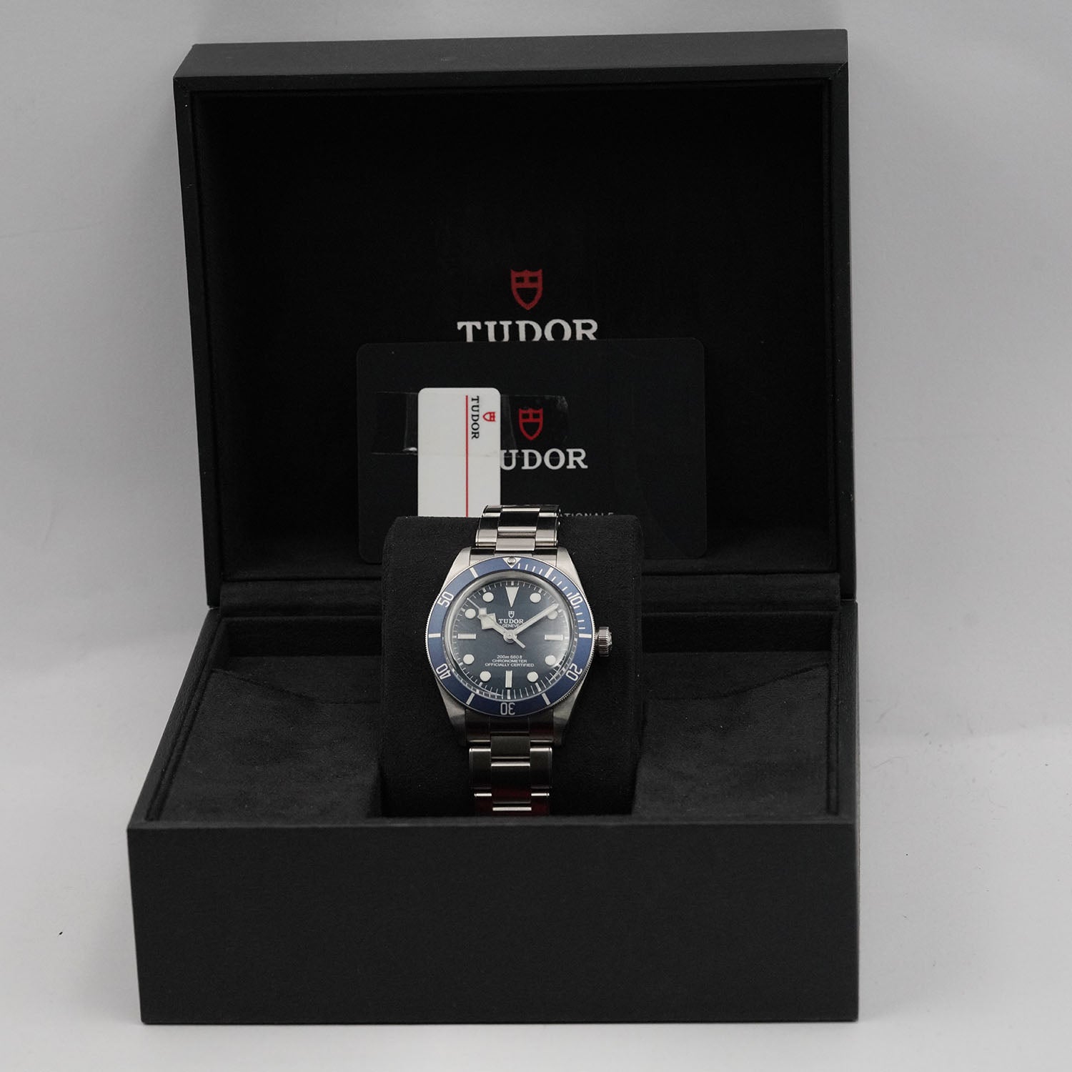Blackbay - Tudor