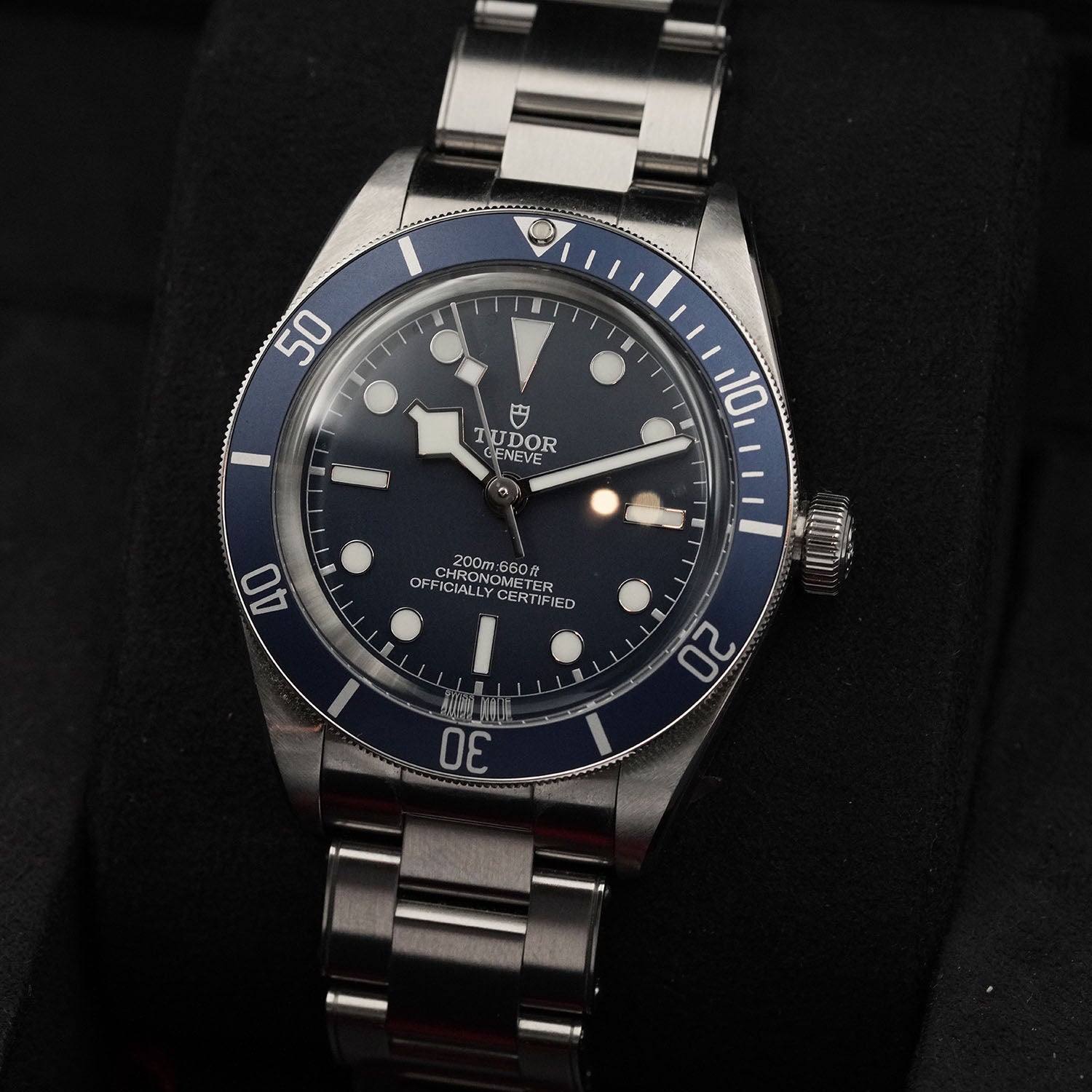 Blackbay - Tudor
