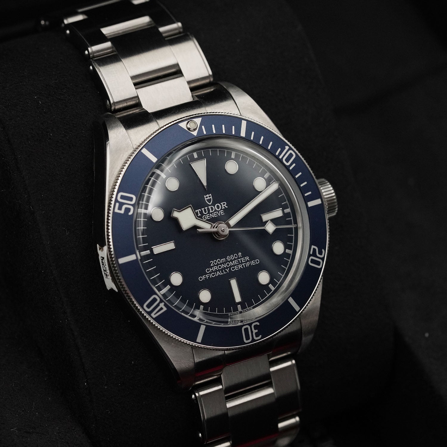 Blackbay - Tudor