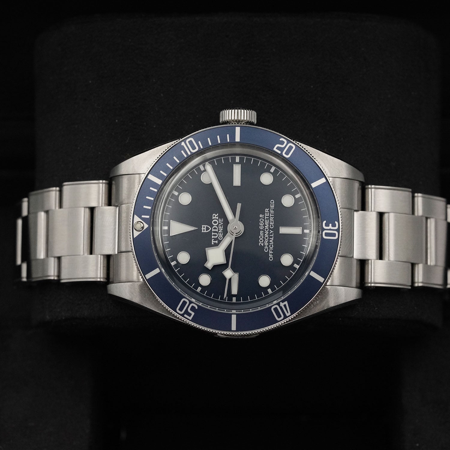 Blackbay - Tudor