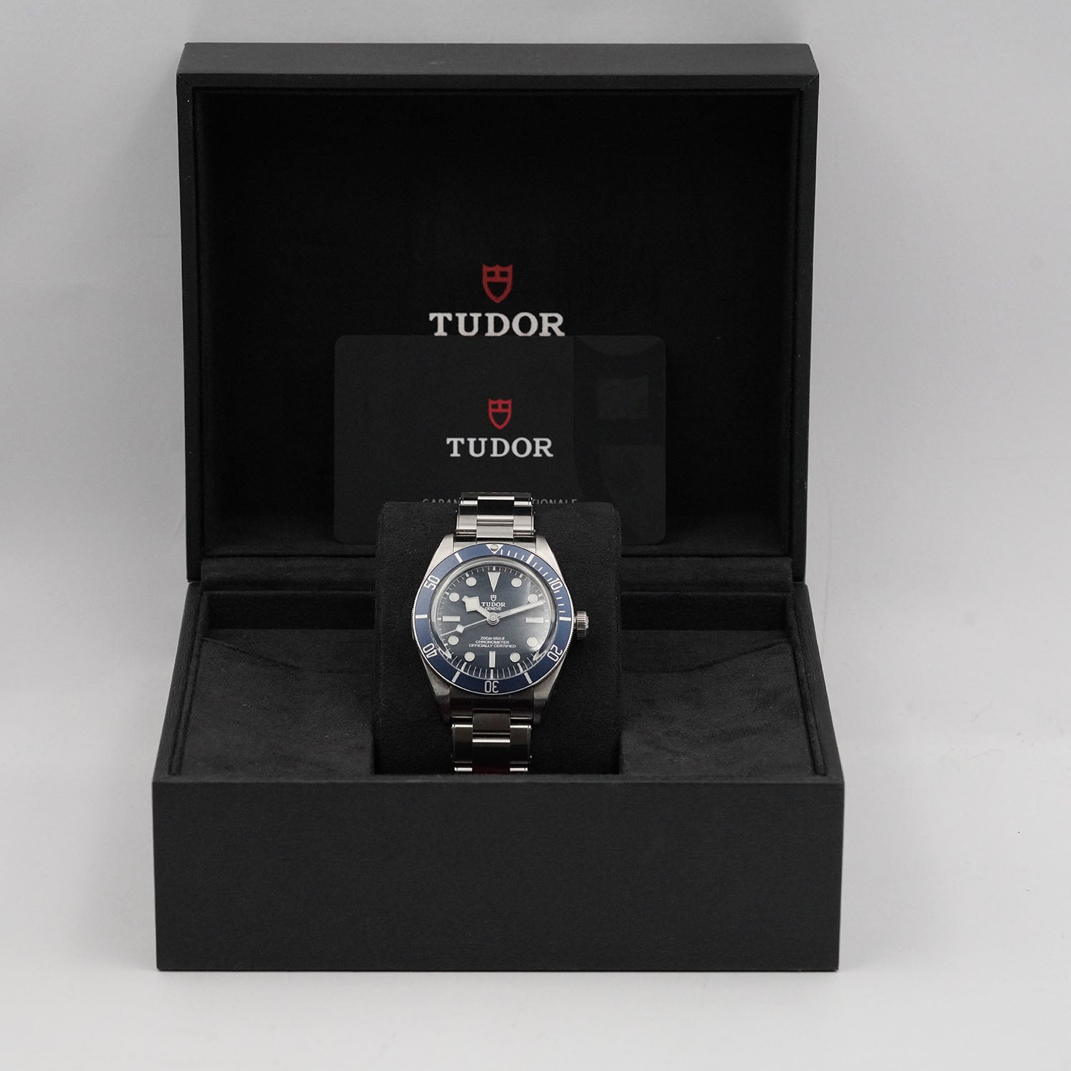 Blackbay - Tudor