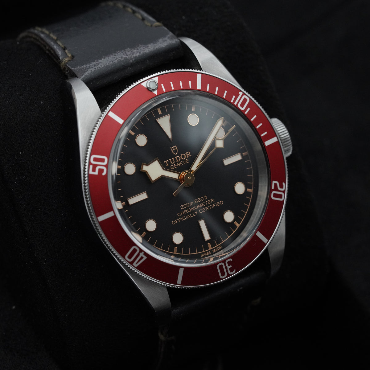 Blackbay 79230r - Tudor