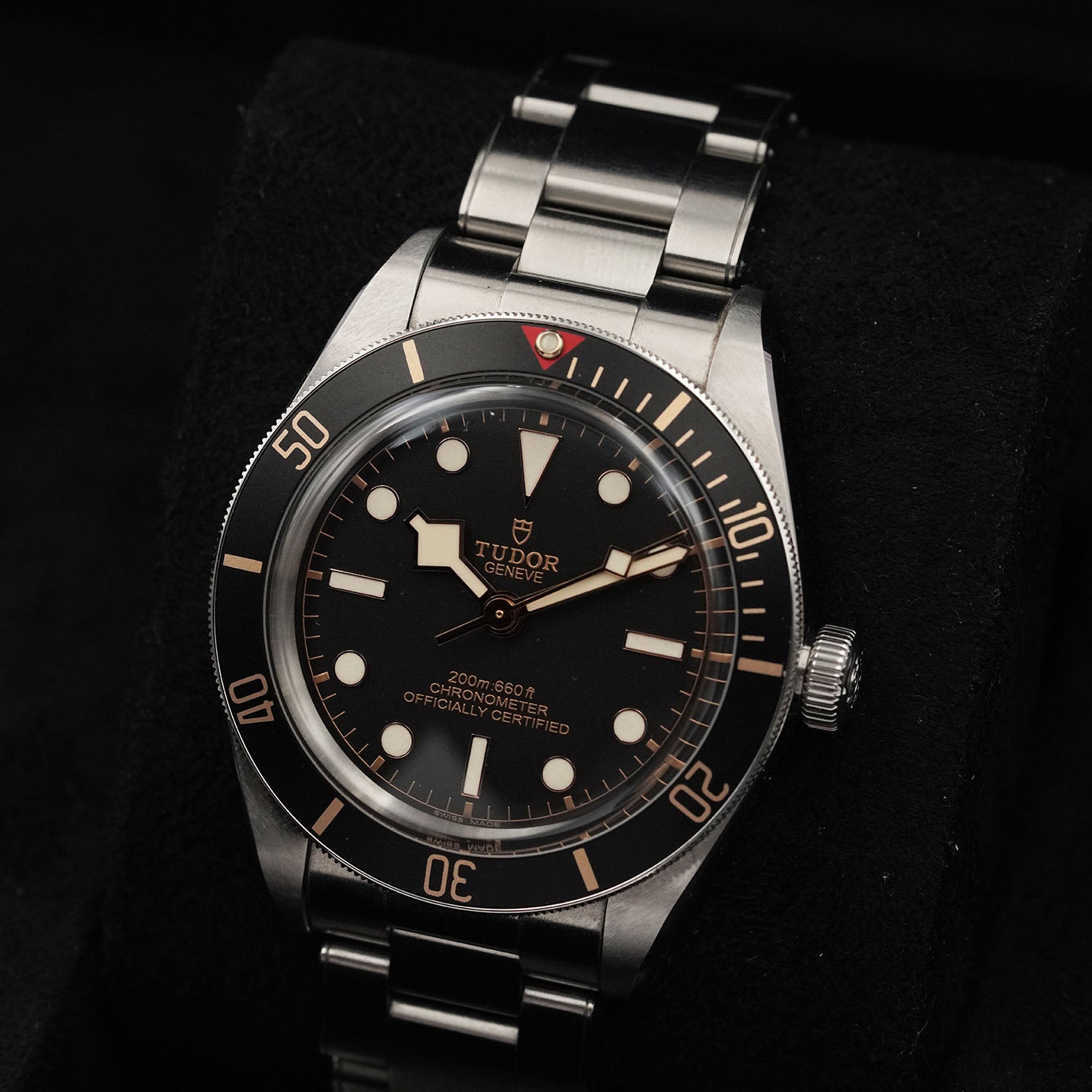 Blackbay - Tudor
