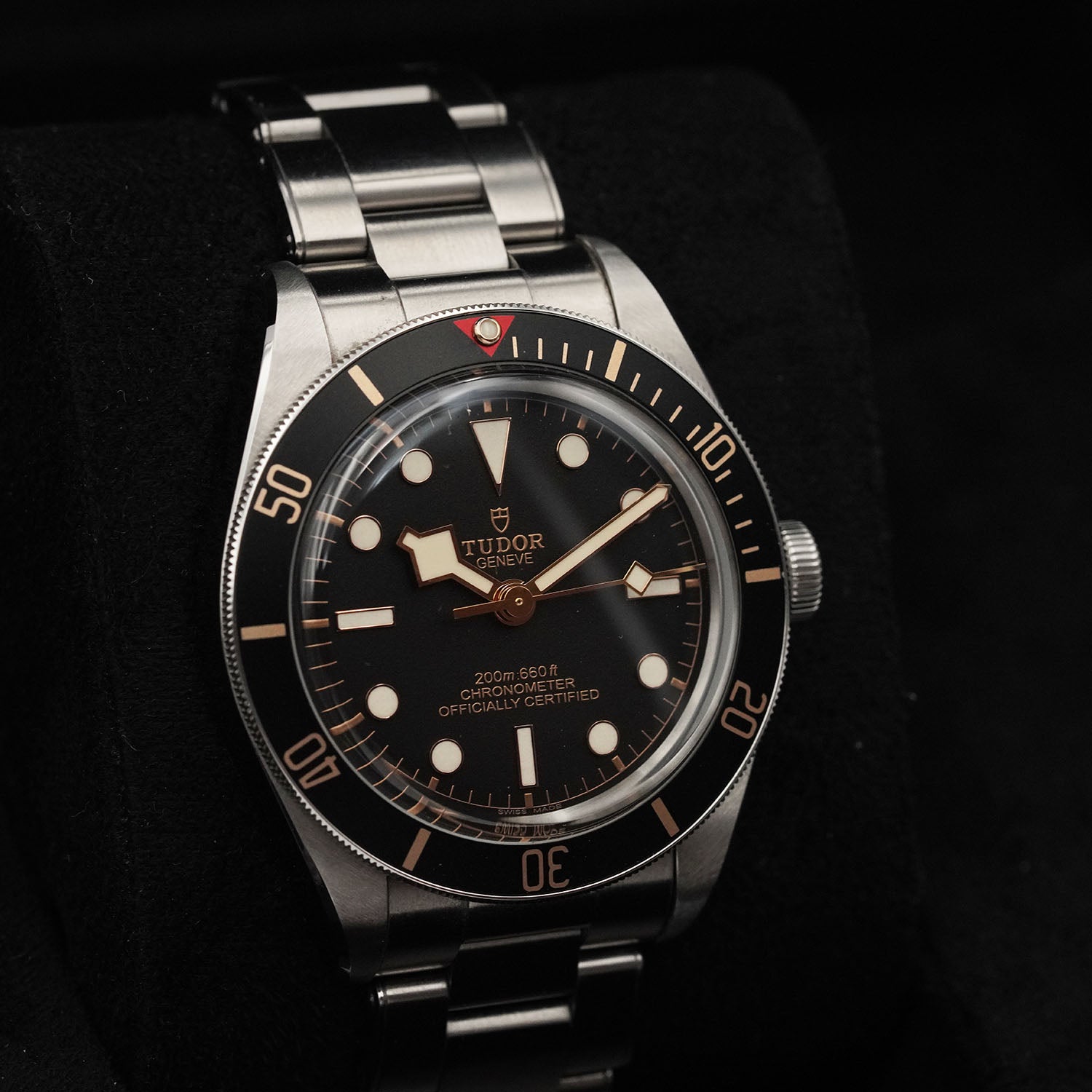 Blackbay - Tudor