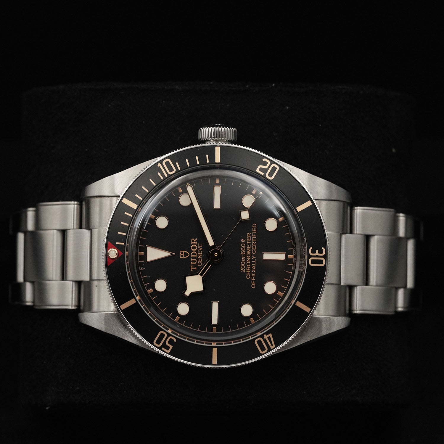 Blackbay - Tudor
