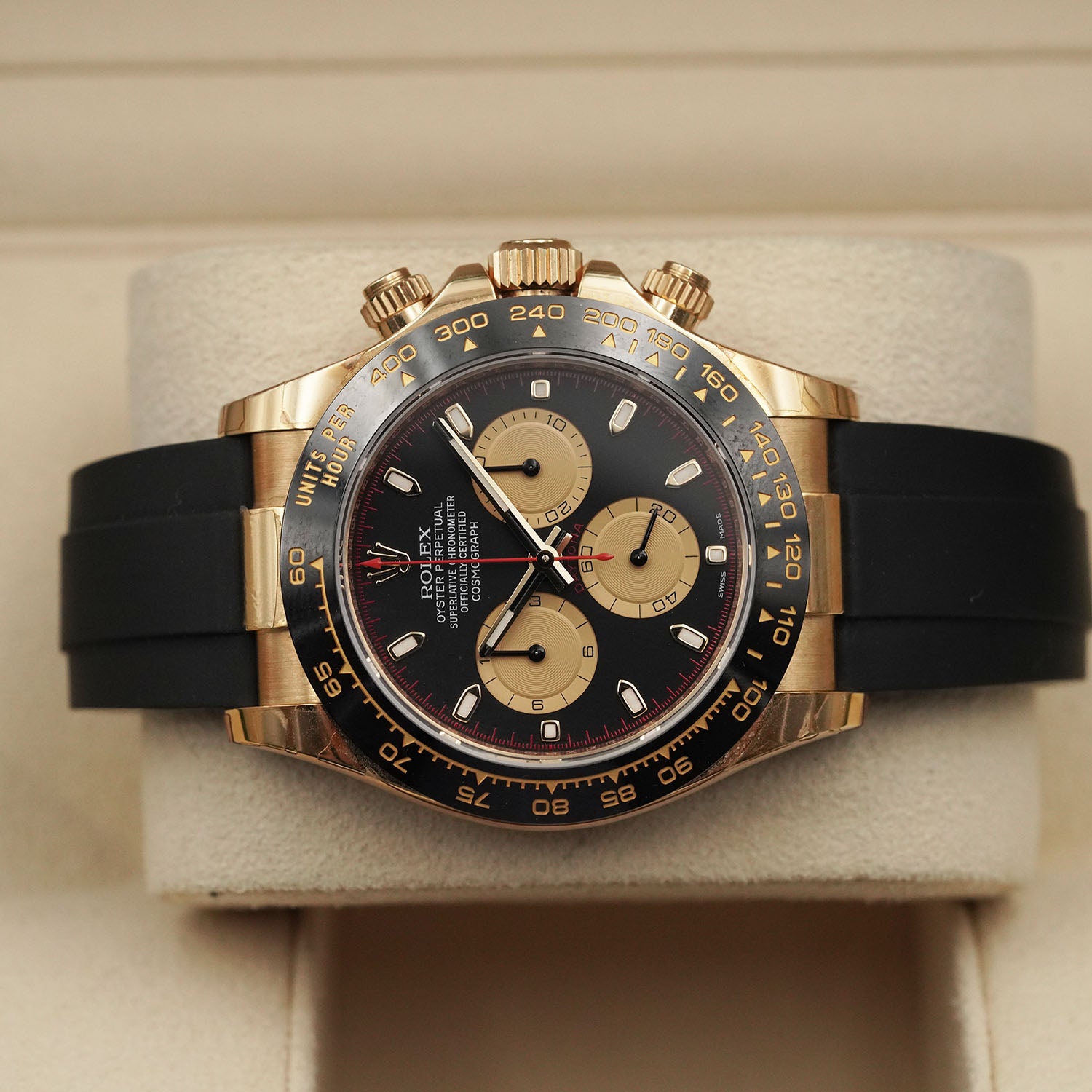 Daytona Newman - Rolex