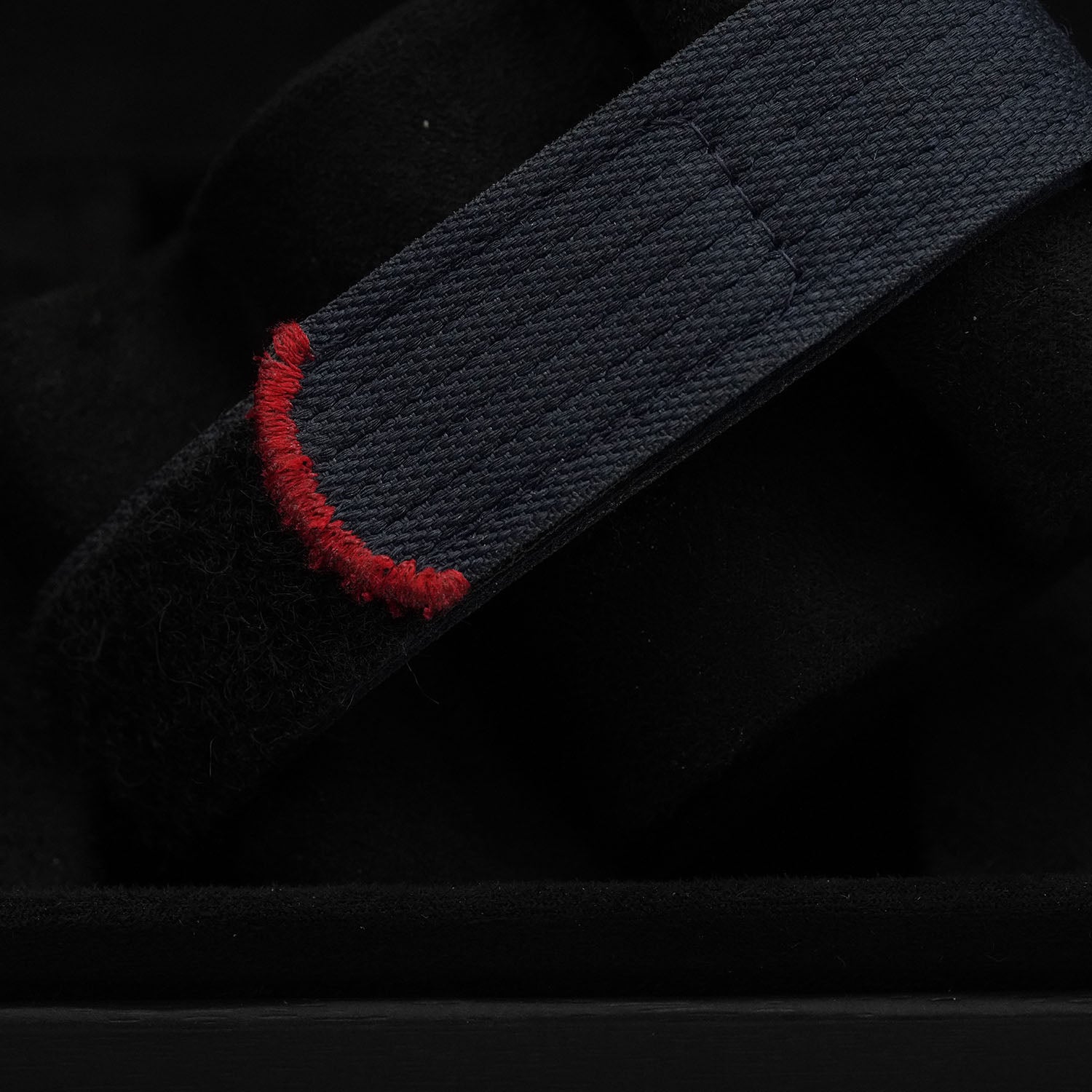 Pelagos Alinghi - Tudor