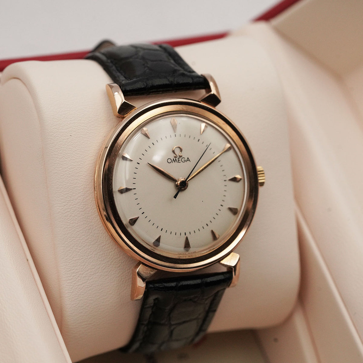 Spider 2678 - Omega