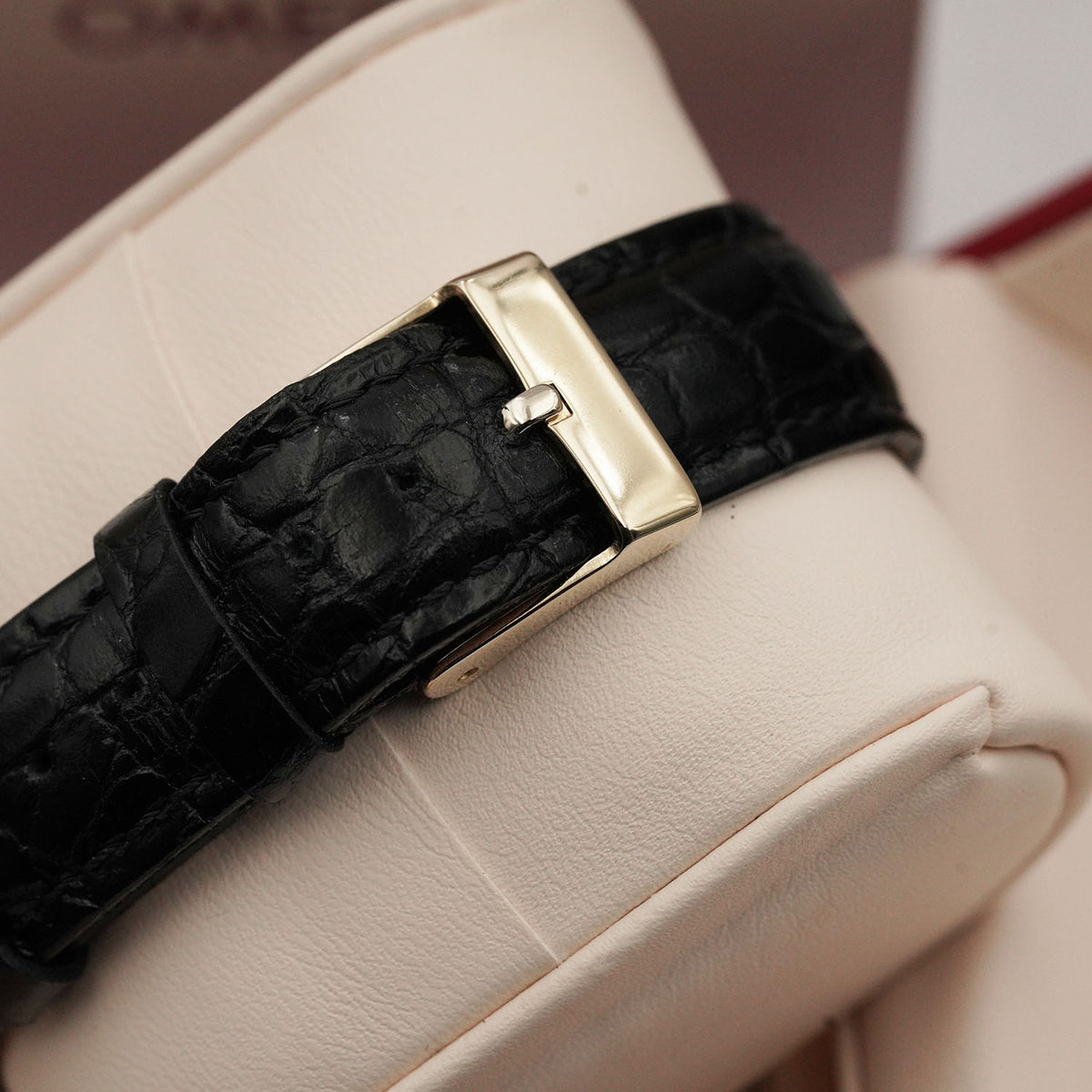 Spider 2678 - Omega