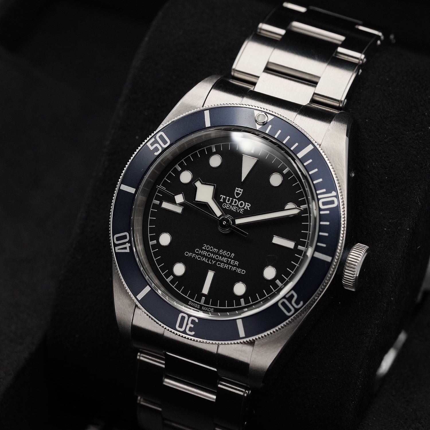 Blackbay - Tudor