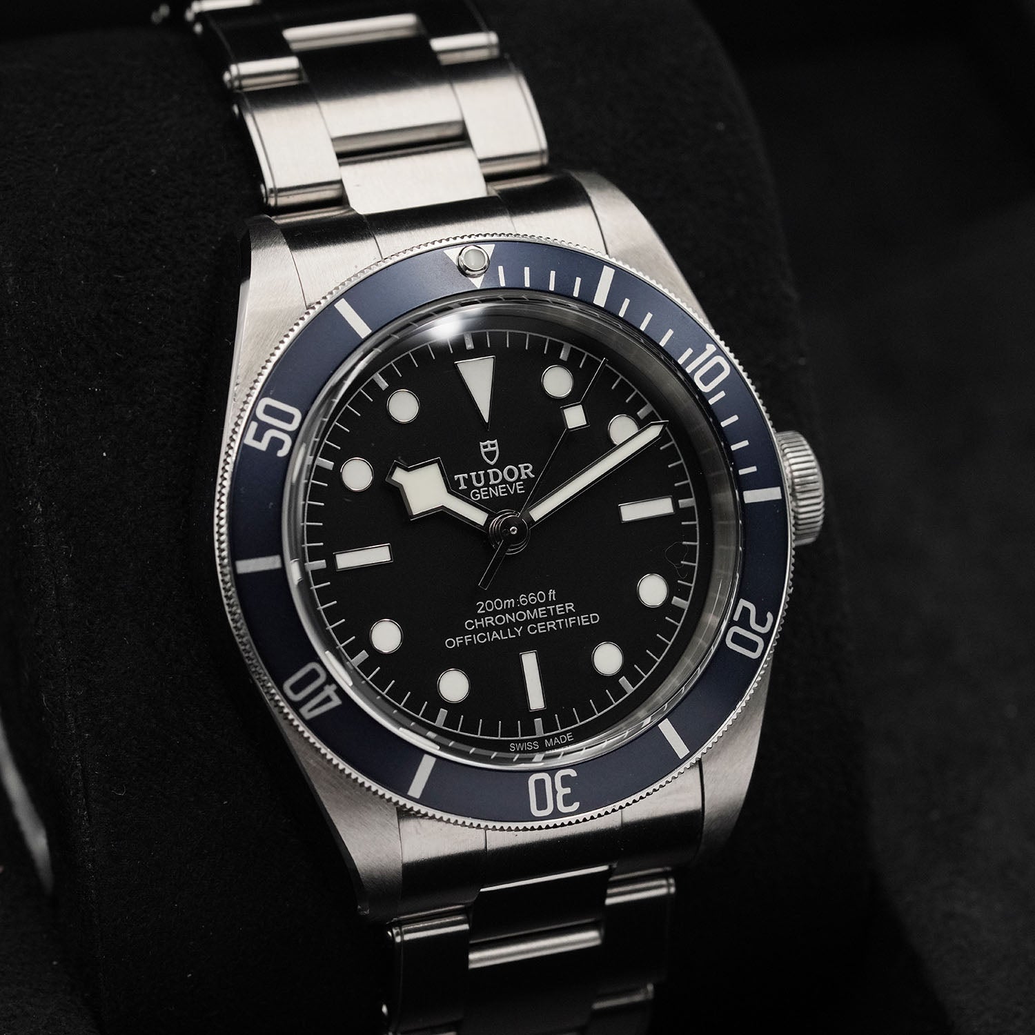 Blackbay - Tudor