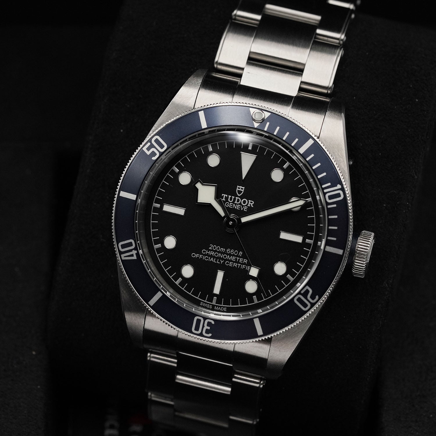 Blackbay - Tudor