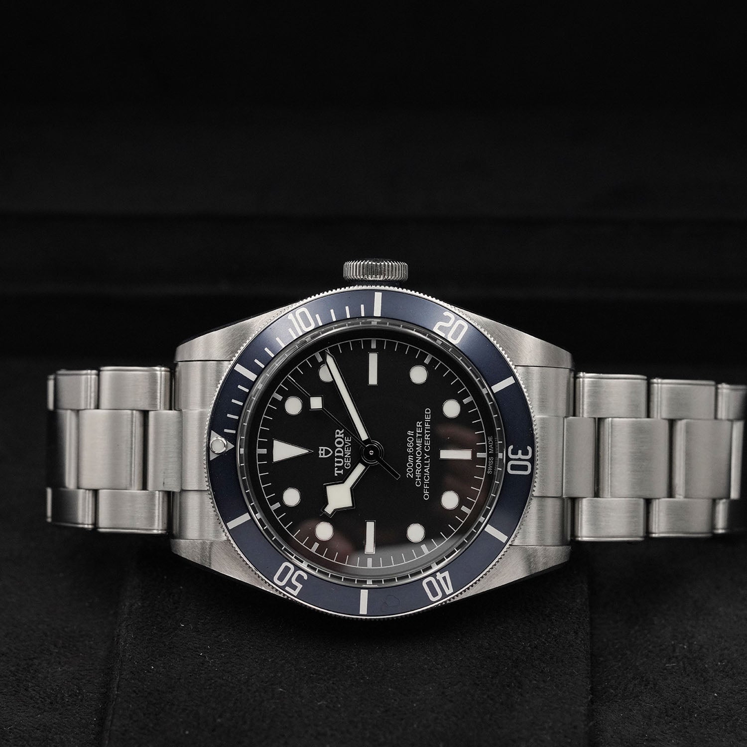 Blackbay - Tudor