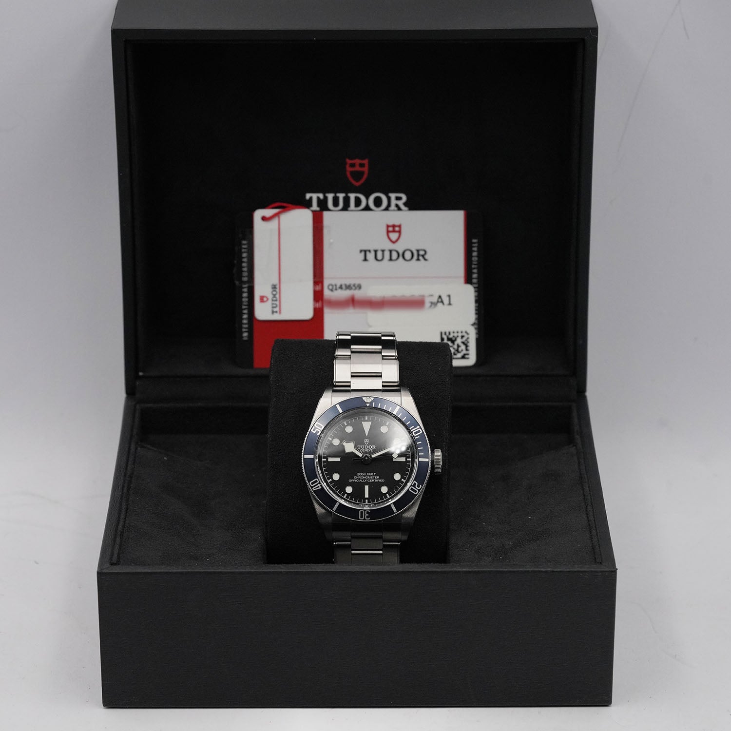 Blackbay - Tudor