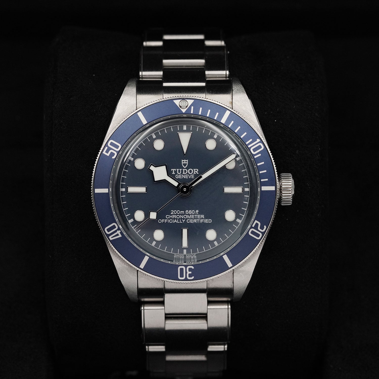 Blackbay - Tudor