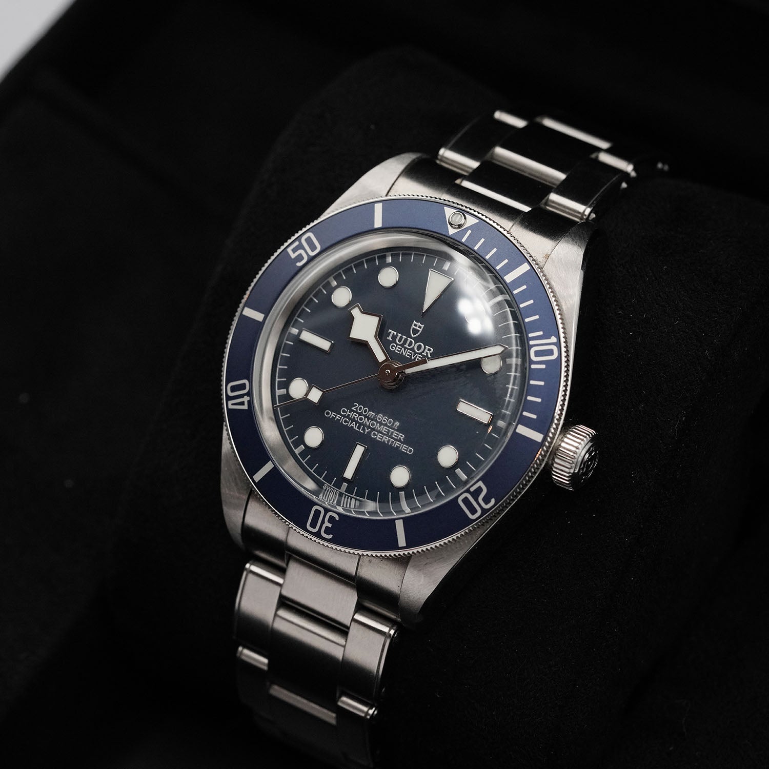 Blackbay - Tudor