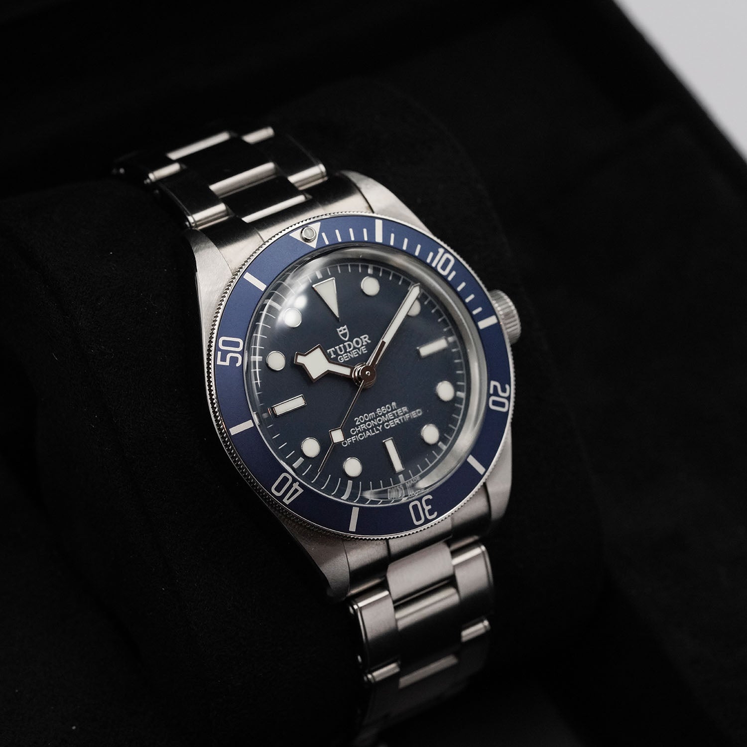 Blackbay - Tudor