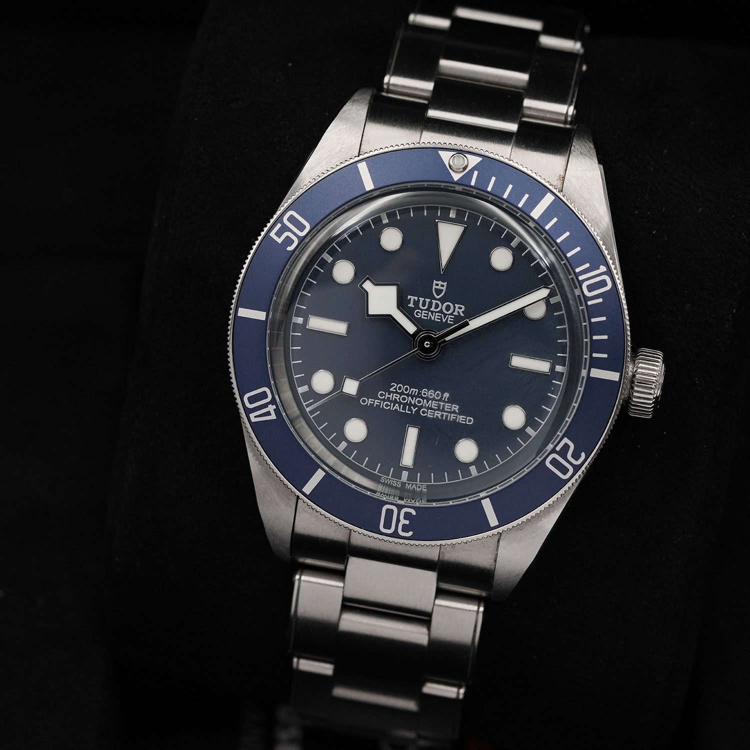 Blackbay - Tudor