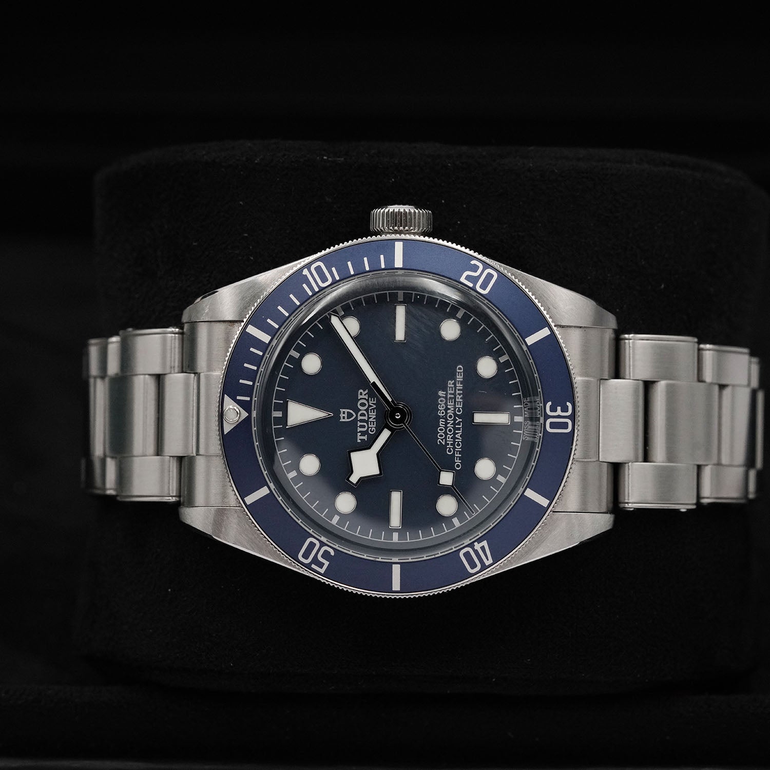 Blackbay - Tudor