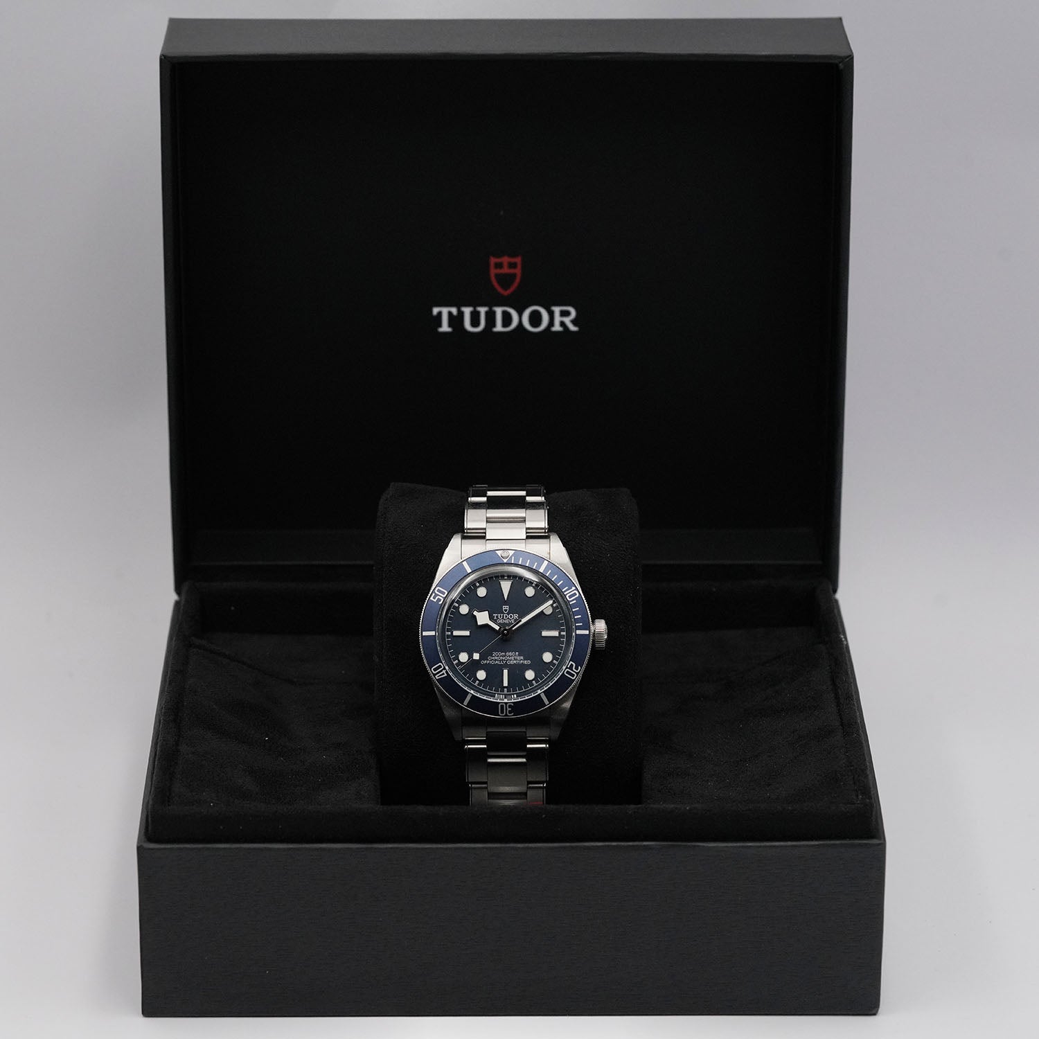 Blackbay - Tudor