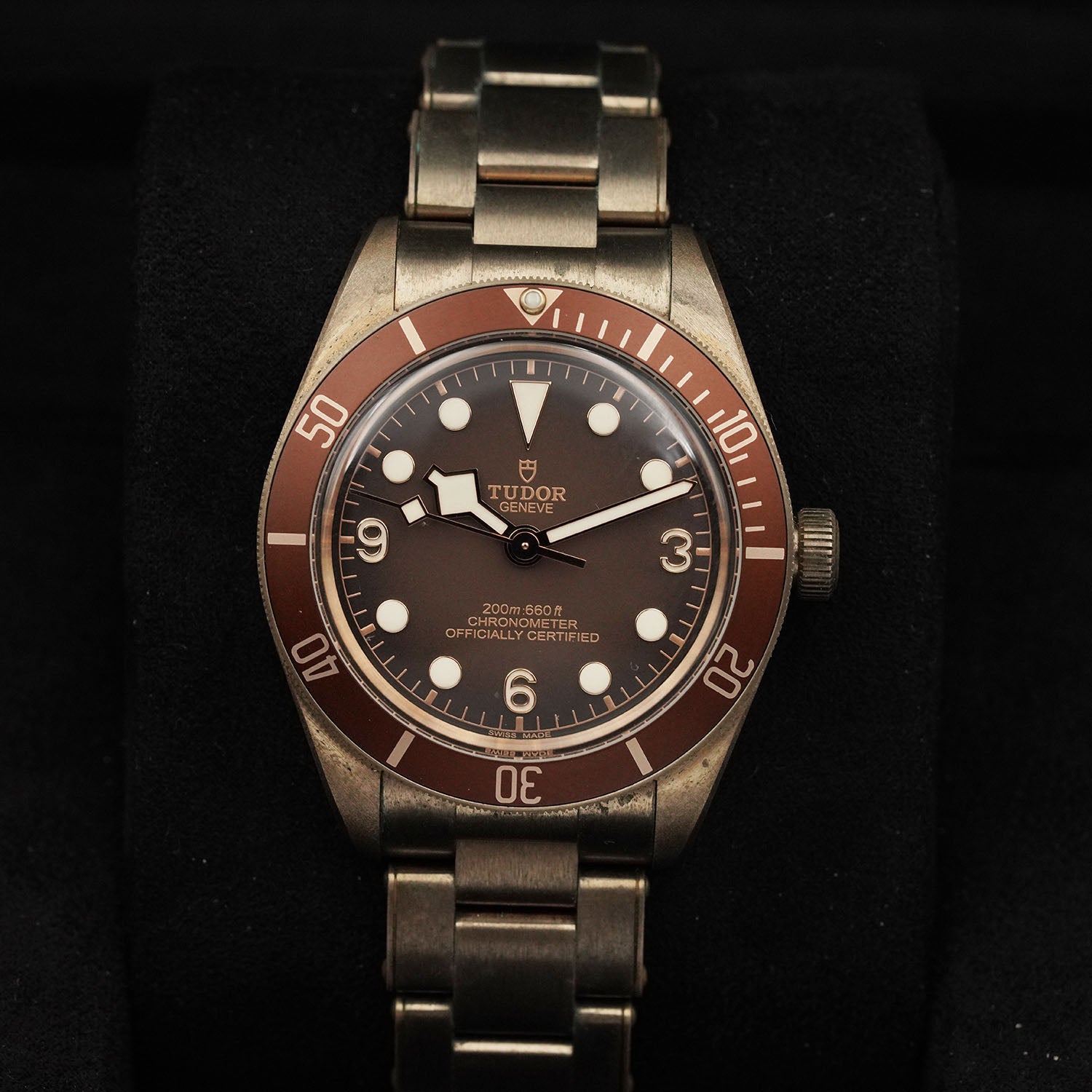 Blackbay Bronze - Tudor