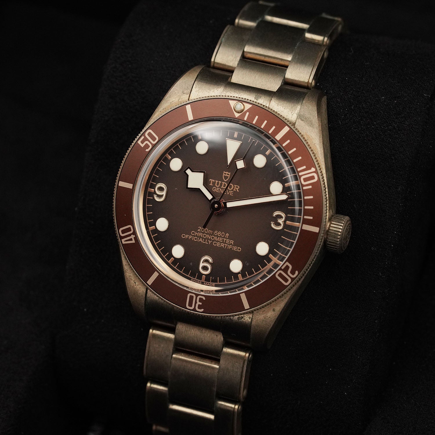 Blackbay Bronze - Tudor