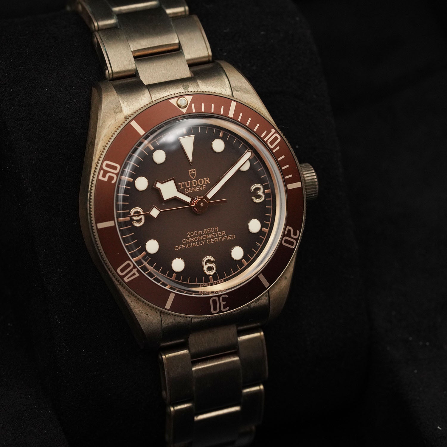 Blackbay Bronze - Tudor