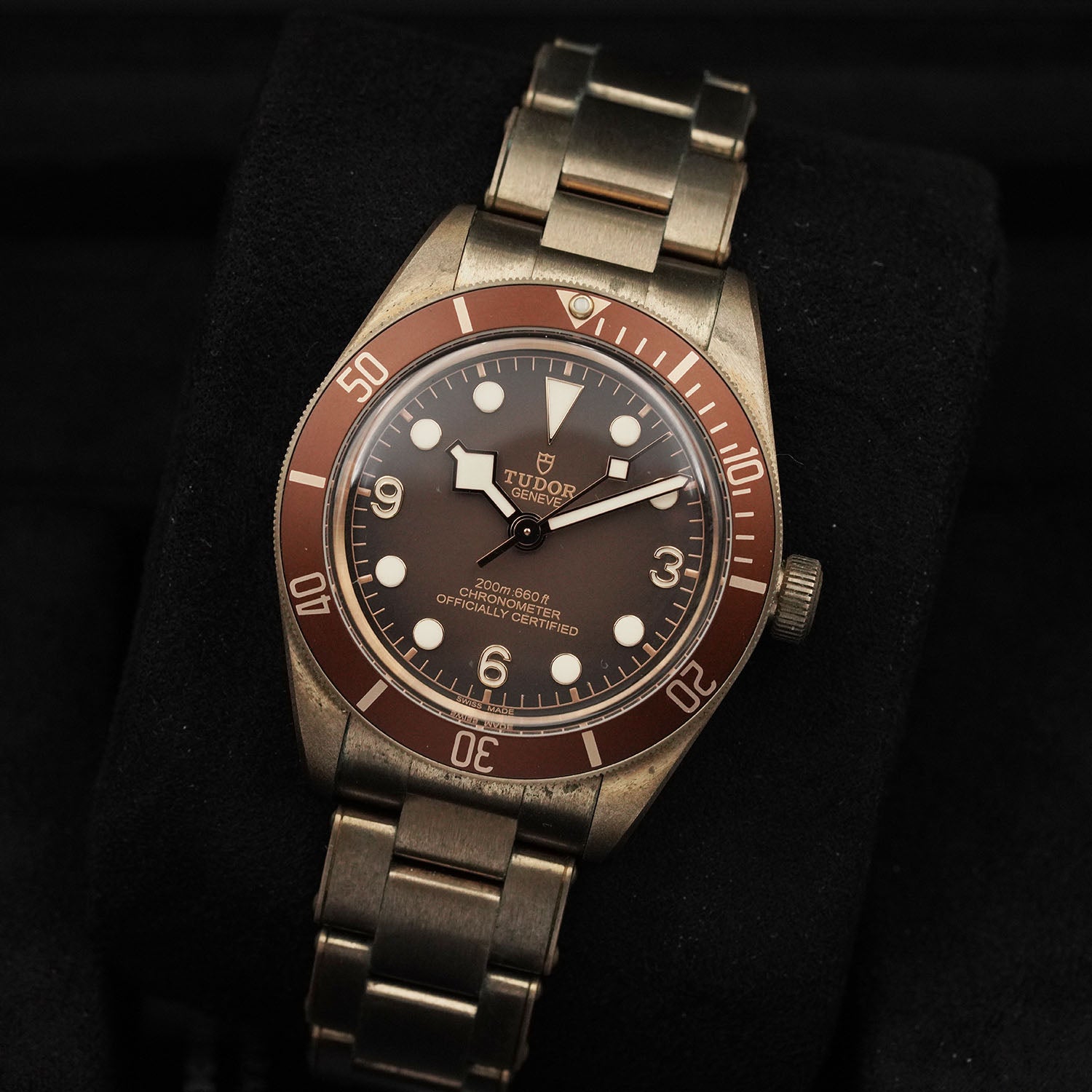 Blackbay Bronze - Tudor