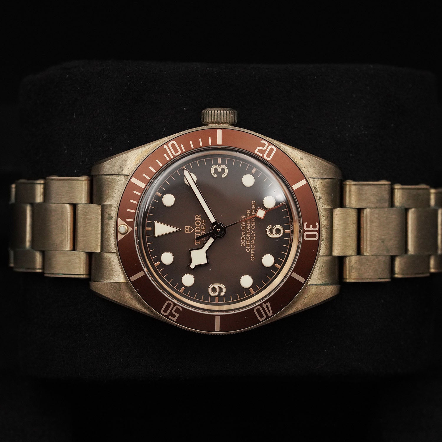 Blackbay Bronze - Tudor