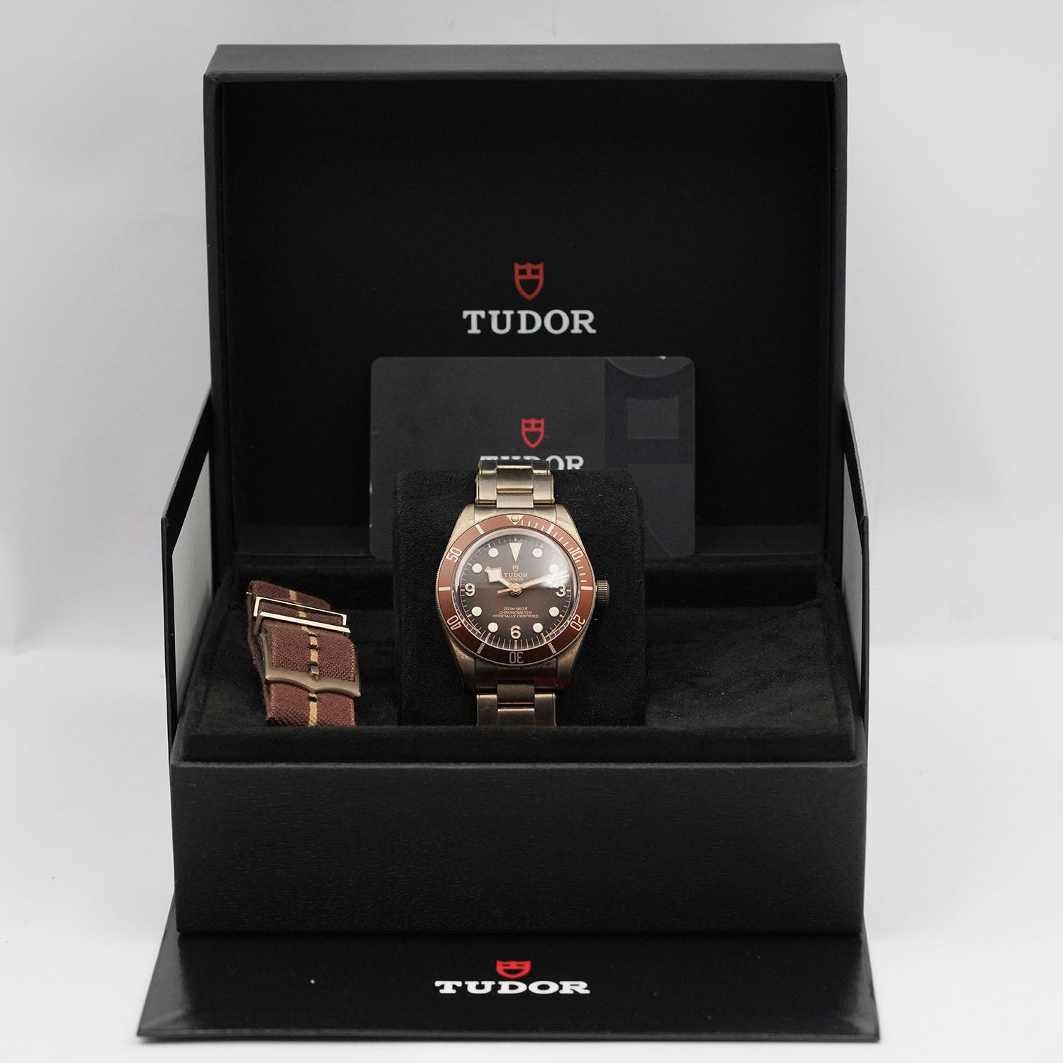 Blackbay Bronze - Tudor
