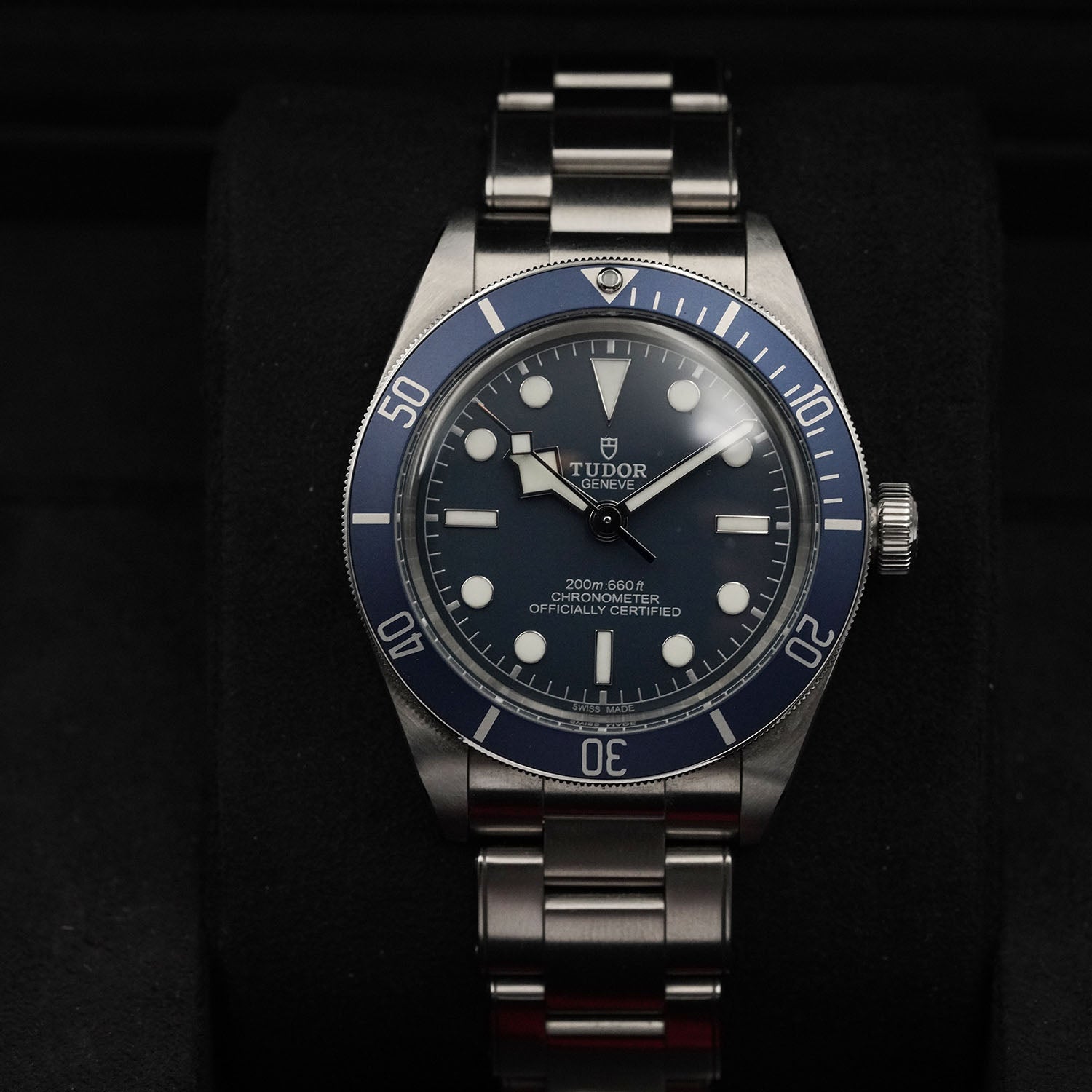 Blackbay - Tudor