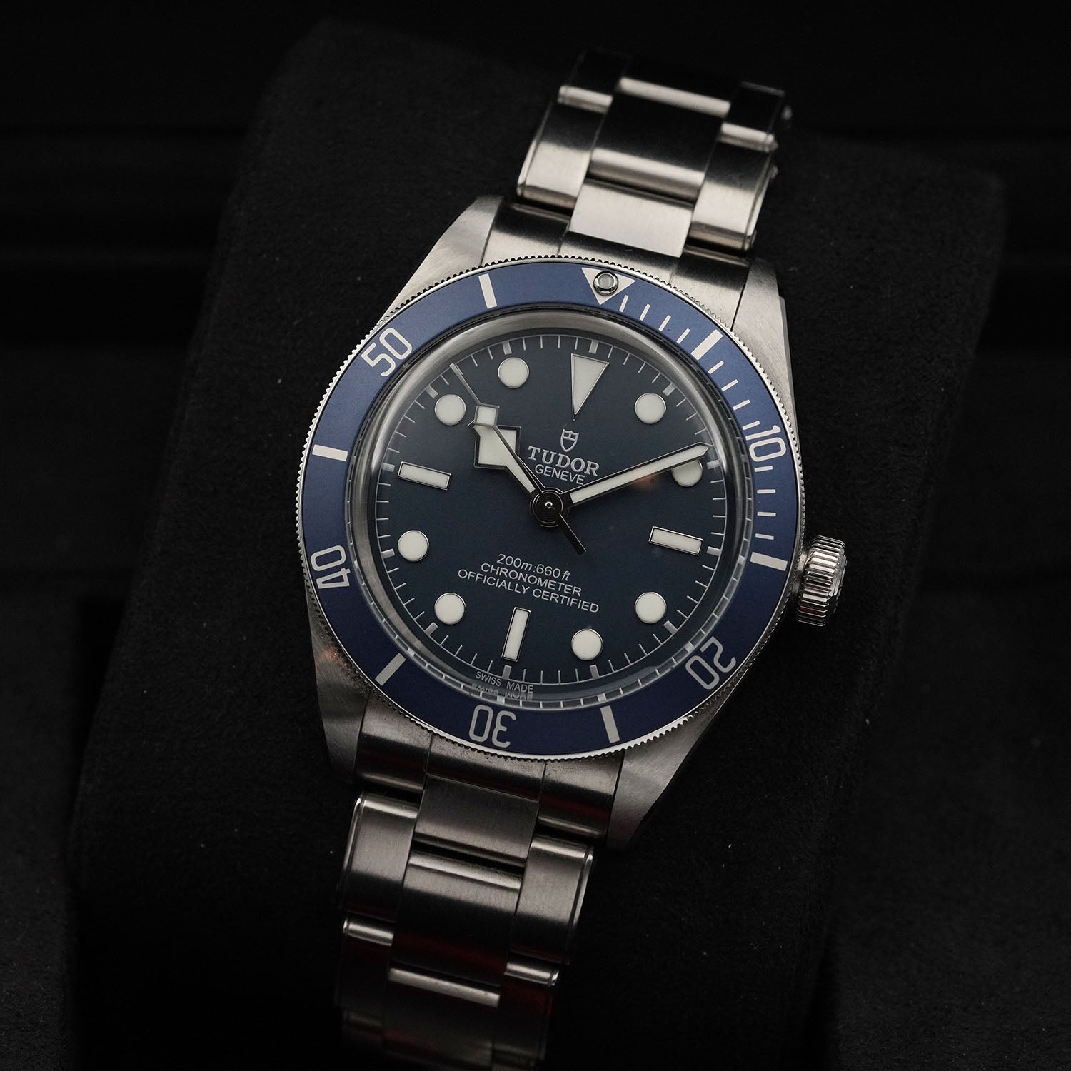 Blackbay - Tudor