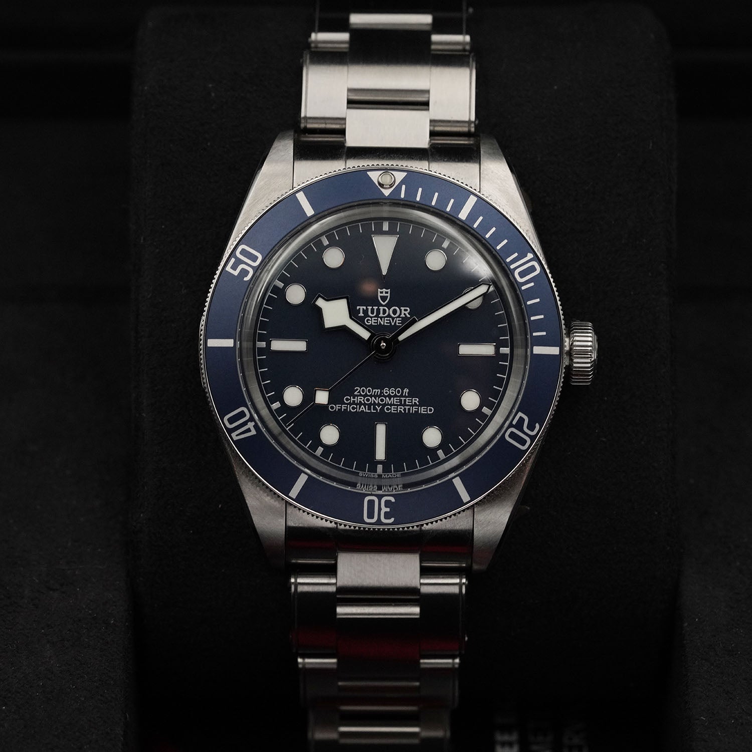 Blackbay - Tudor