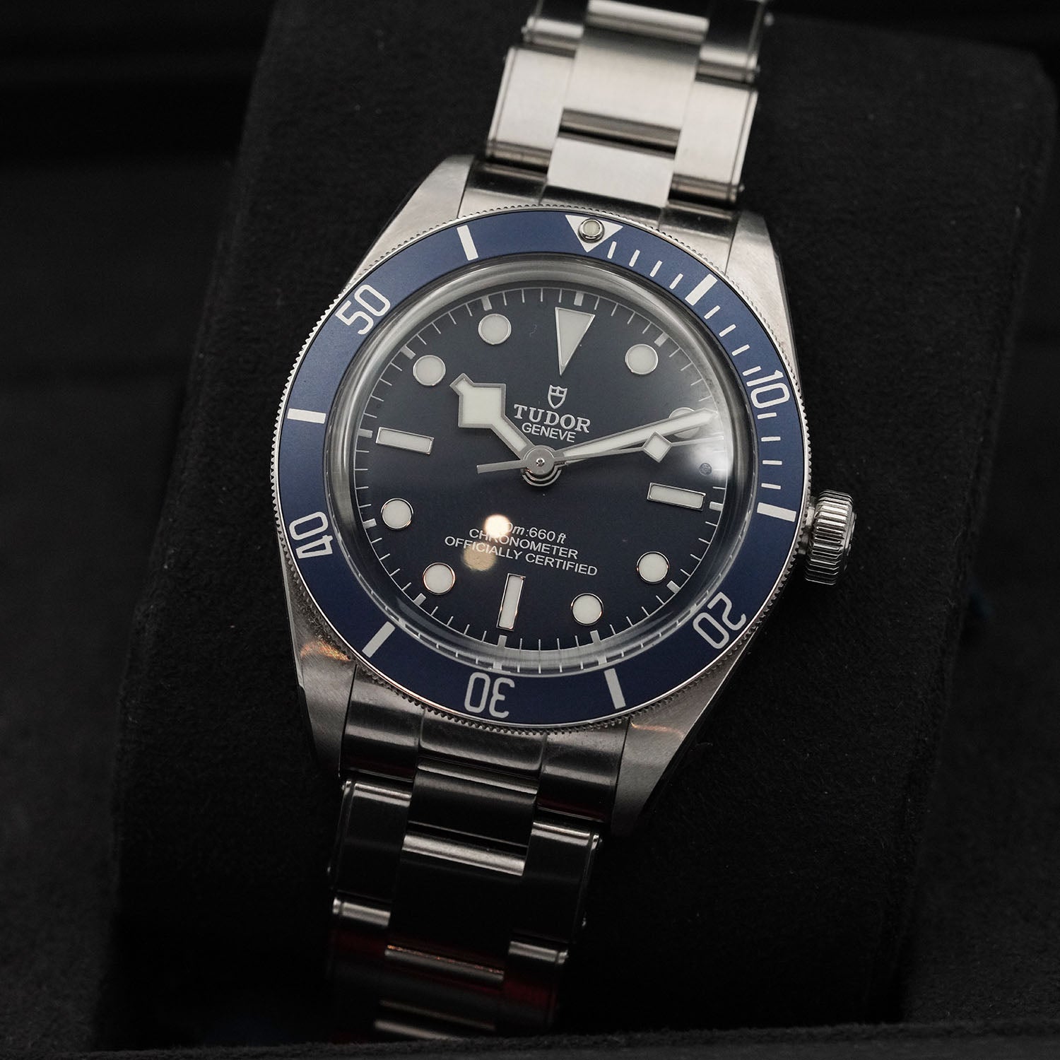 Blackbay - Tudor