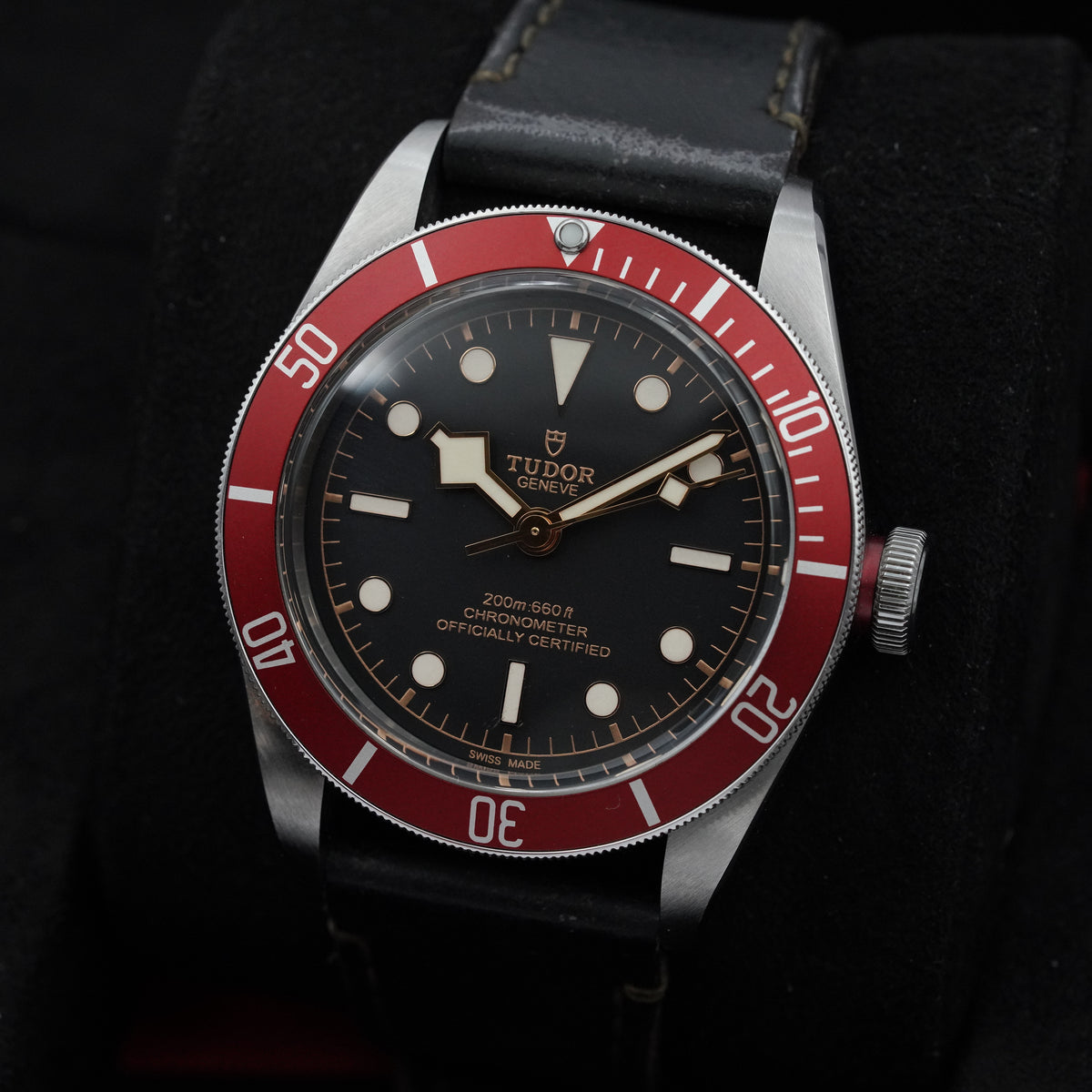 Blackbay 79230r - Tudor