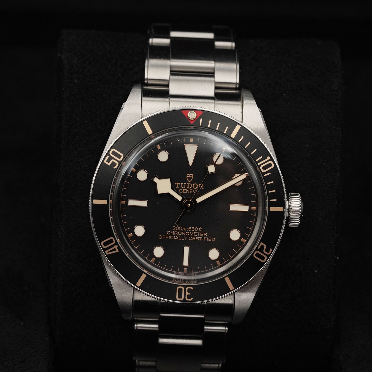 Blackbay - Tudor