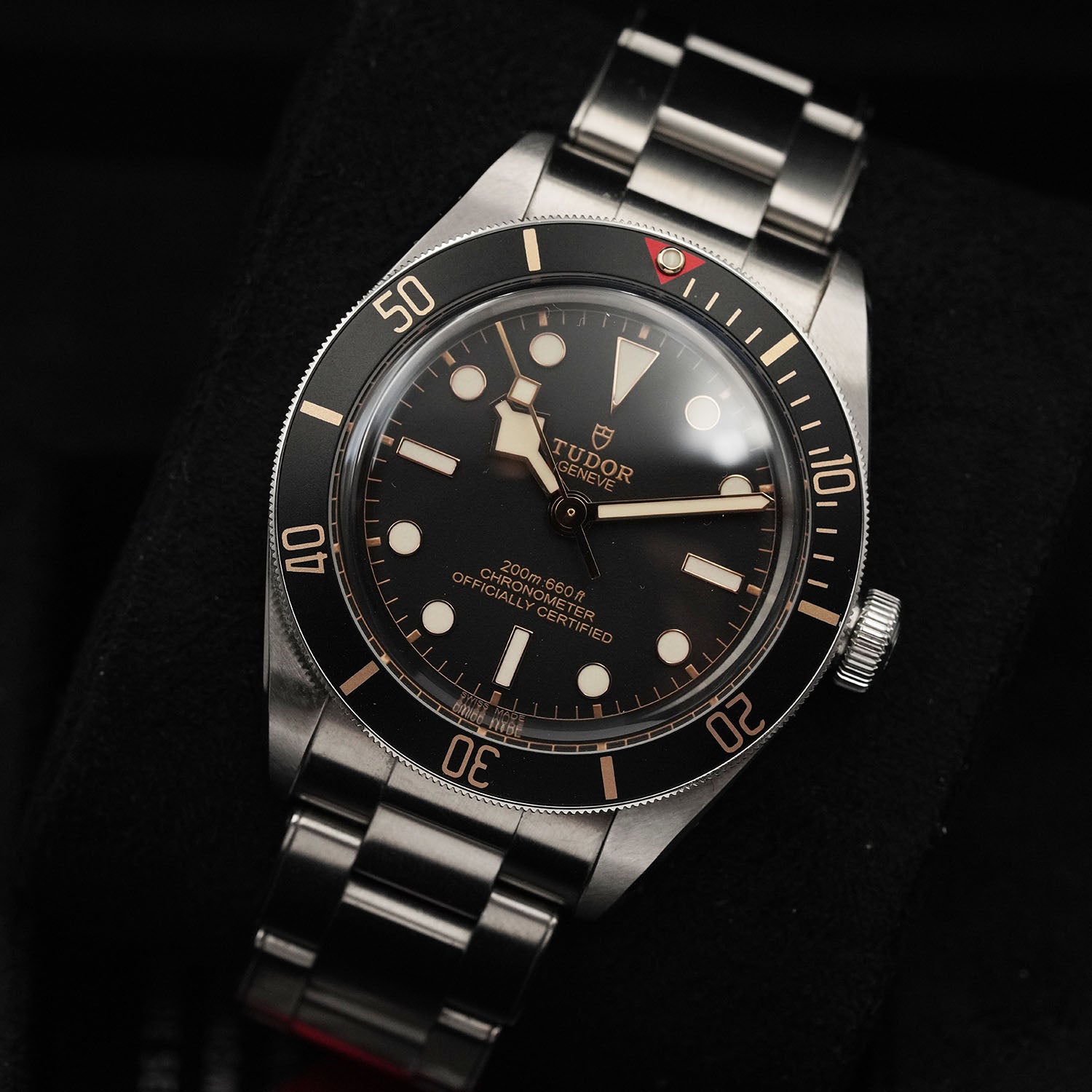 Blackbay - Tudor
