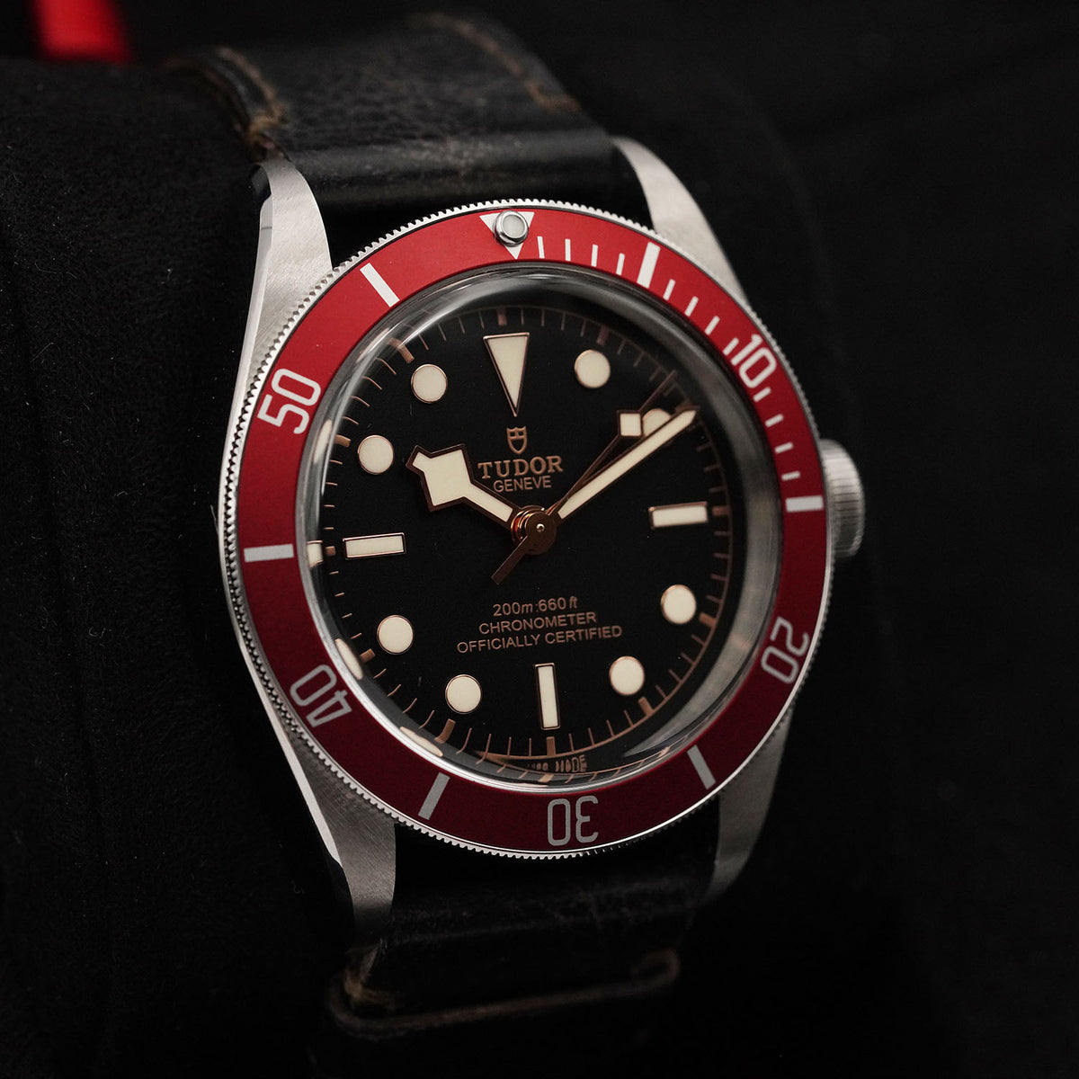 Blackbay 79230R - Tudor