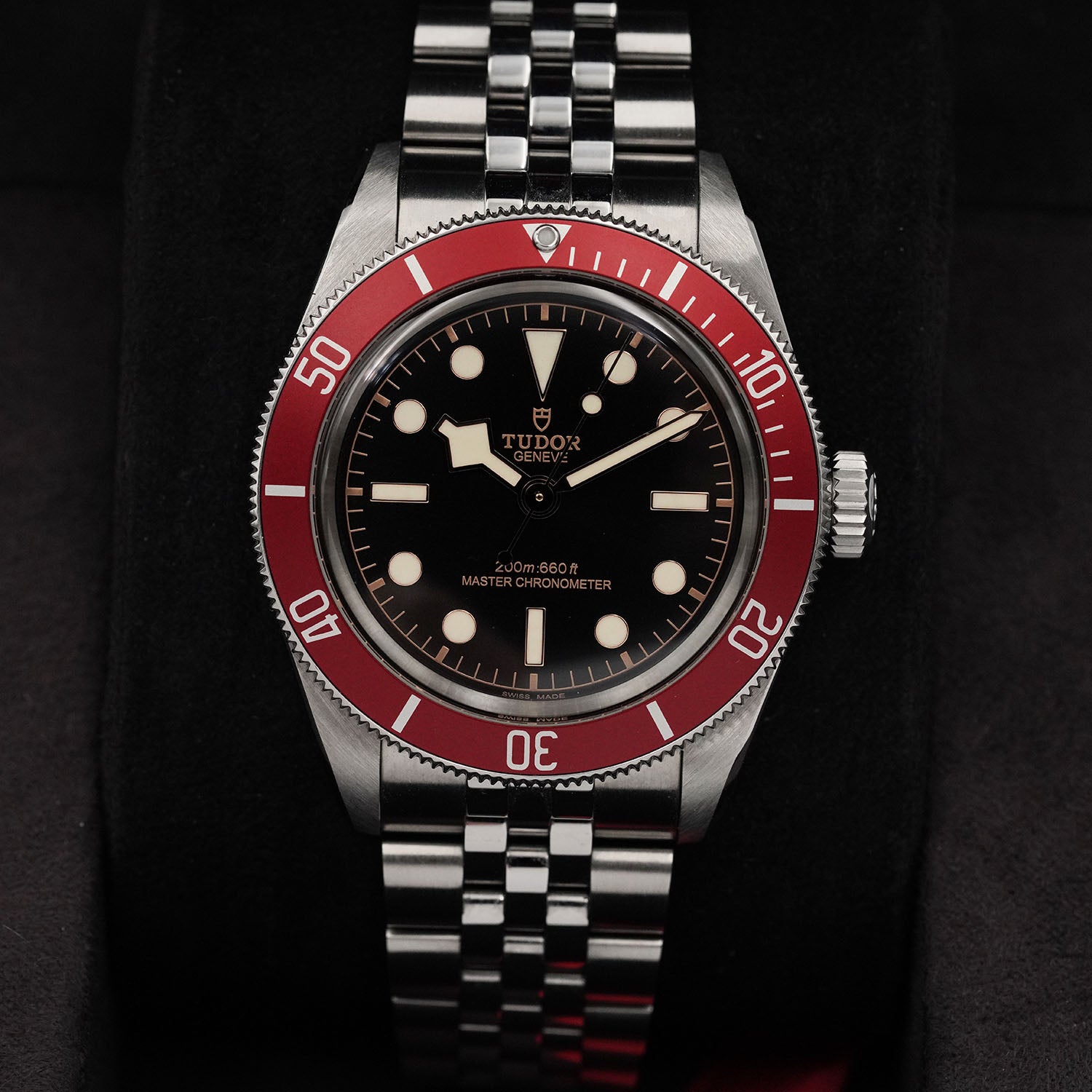 Blackbay Red - Tudor