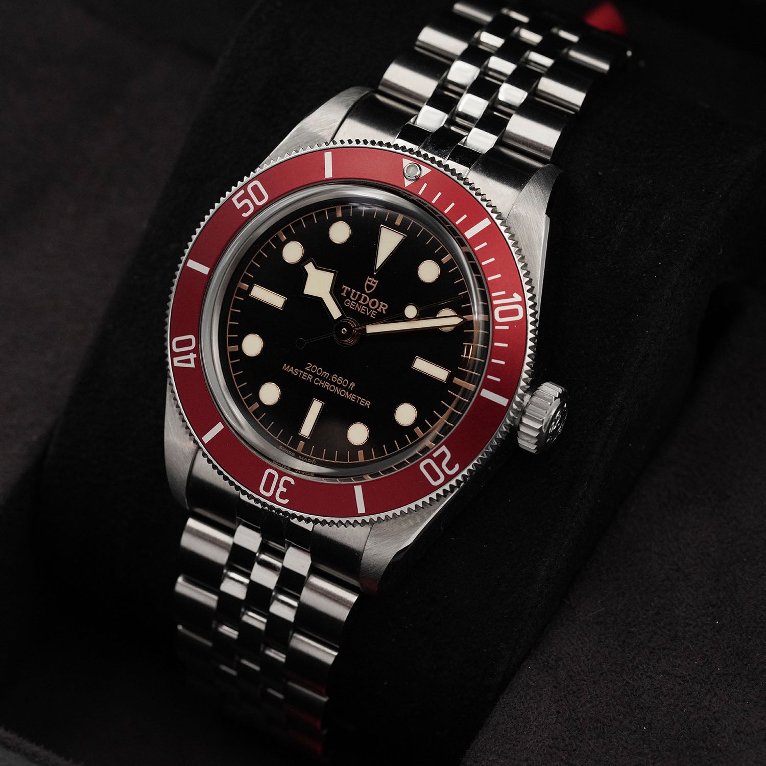 Blackbay Red - Tudor