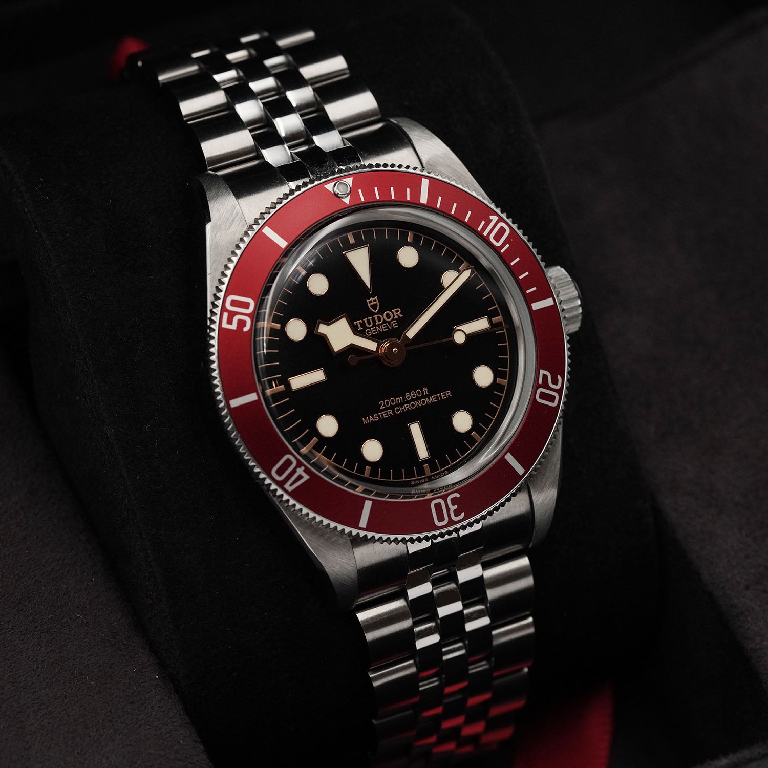 Blackbay Red - Tudor