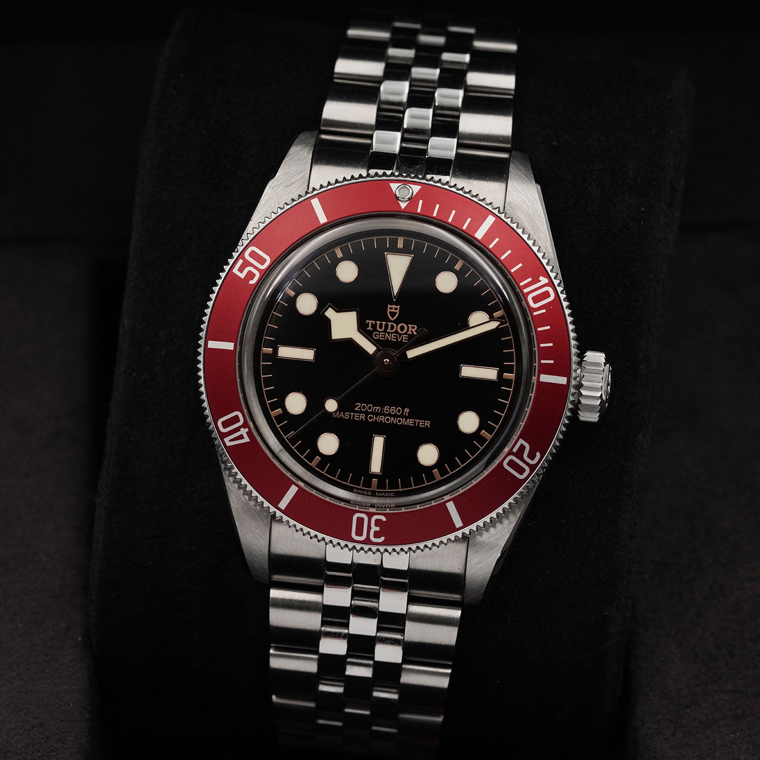 Blackbay Red - Tudor