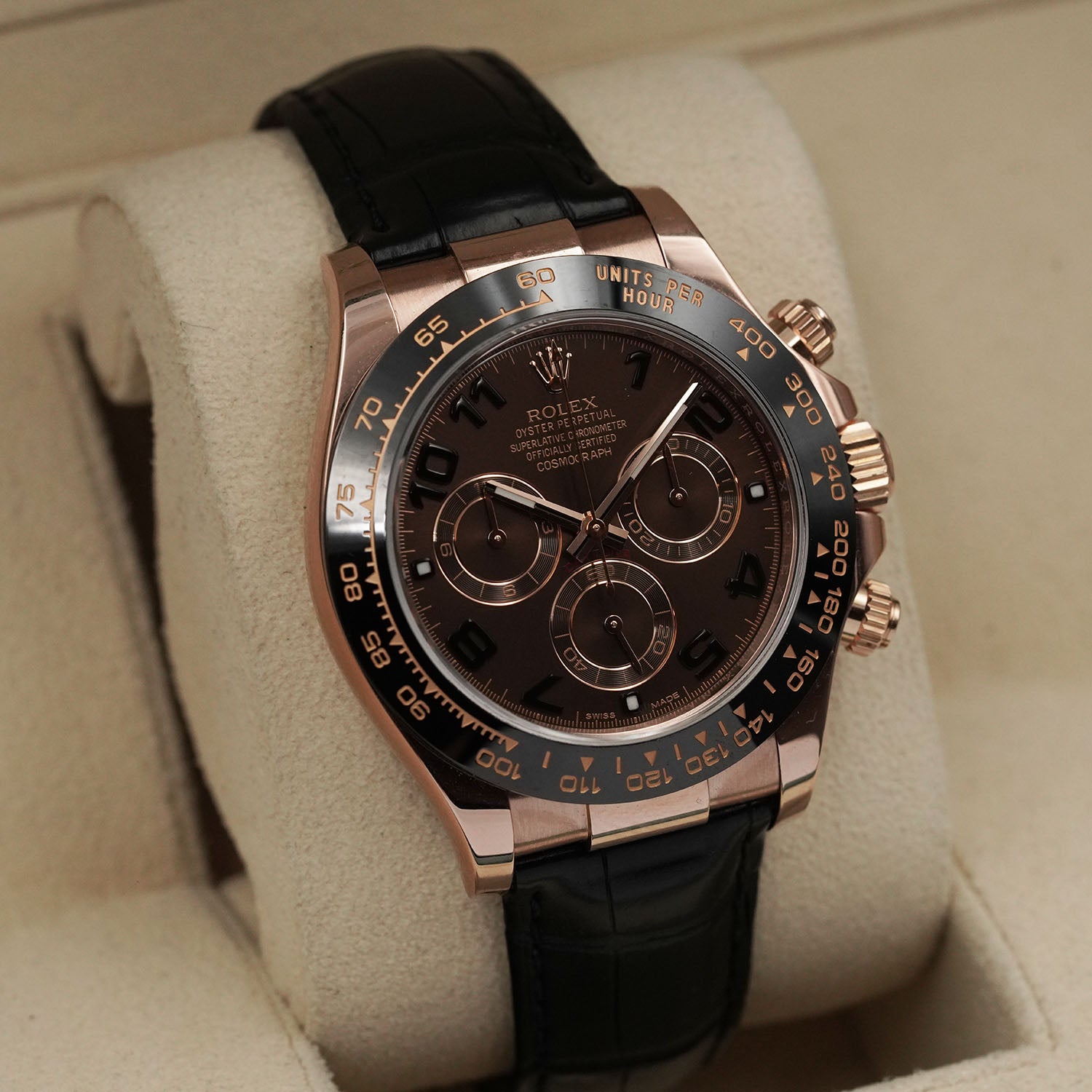 Daytona Chocolate - Rolex