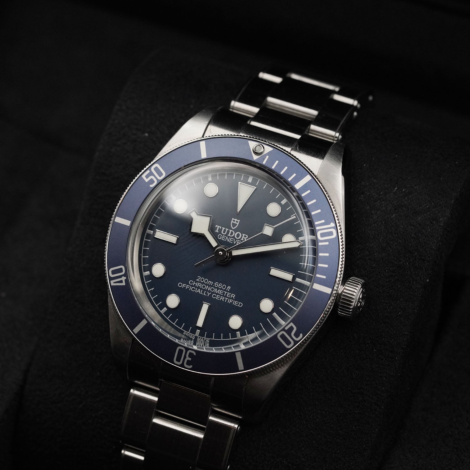 Blackbay - Tudor