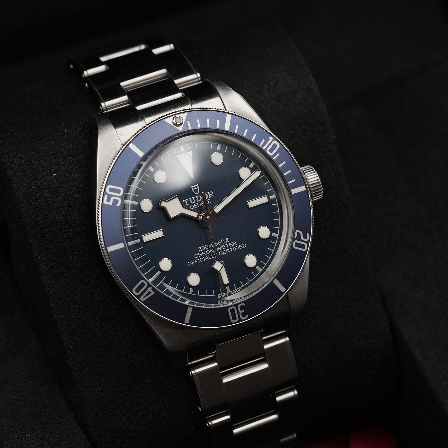 Blackbay - Tudor